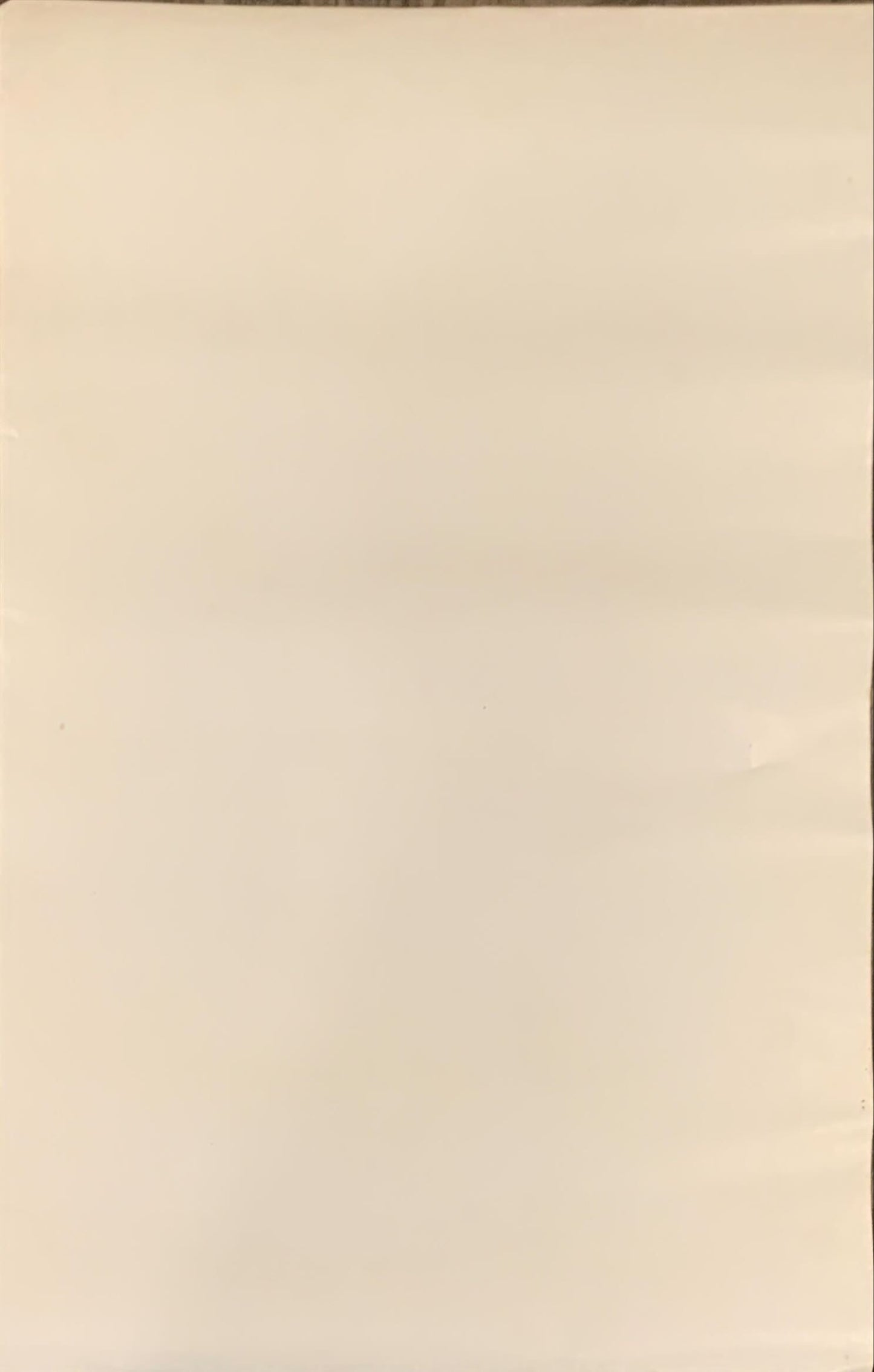 Star Trek 2-sided 22x34 commercial poster 1979 William Shatner & cast