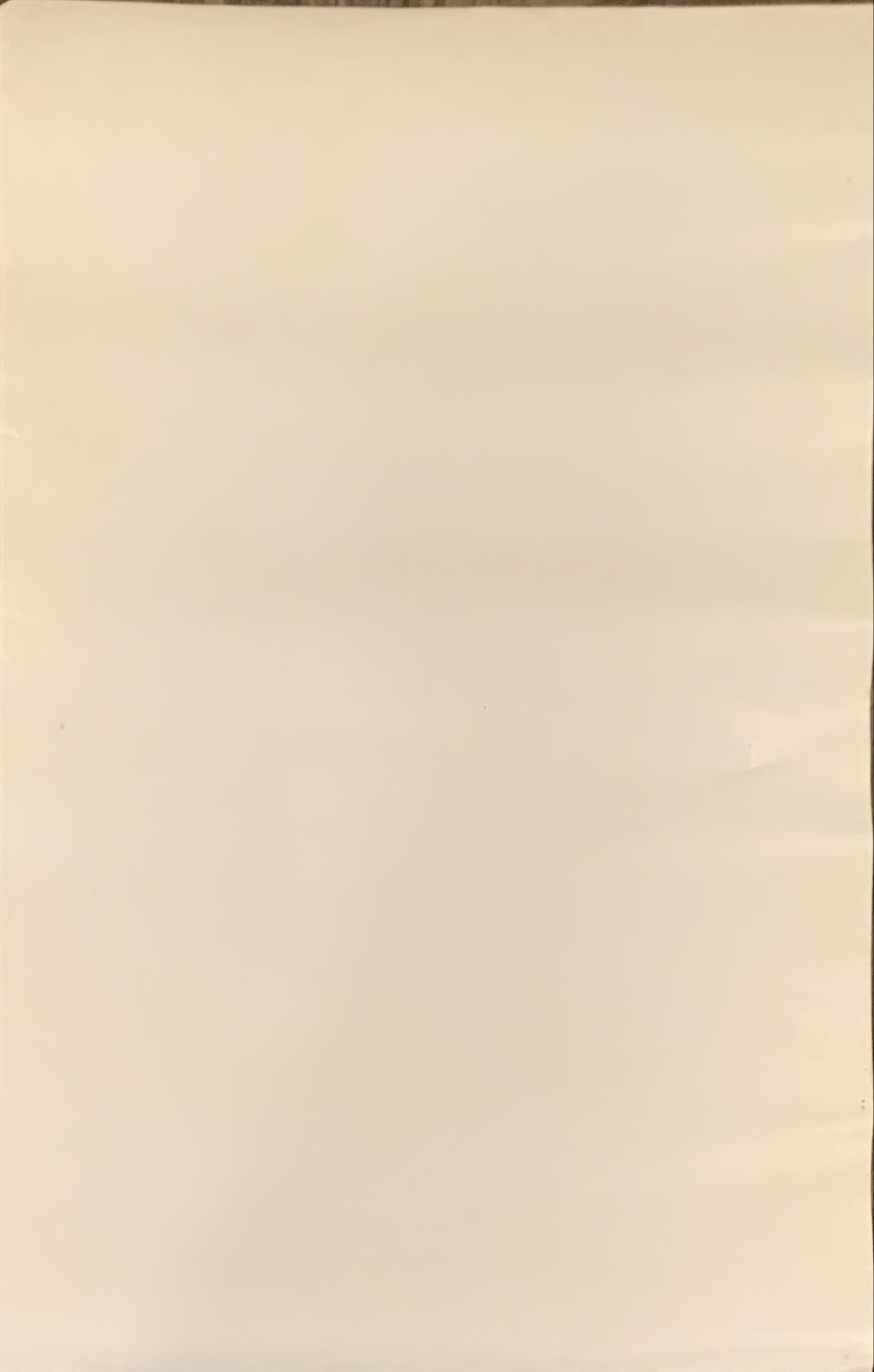 Star Trek 2-sided 22x34 commercial poster 1979 William Shatner & cast