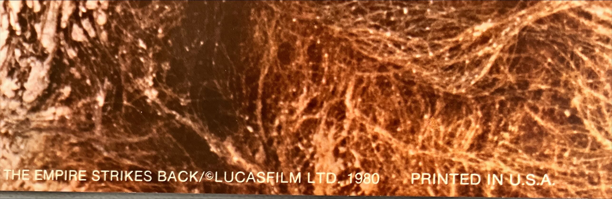 Empire strikes back, 6 color 12.5x17 stills 1980 Luke, Leia, Chewbacca, Han, Lando, droids