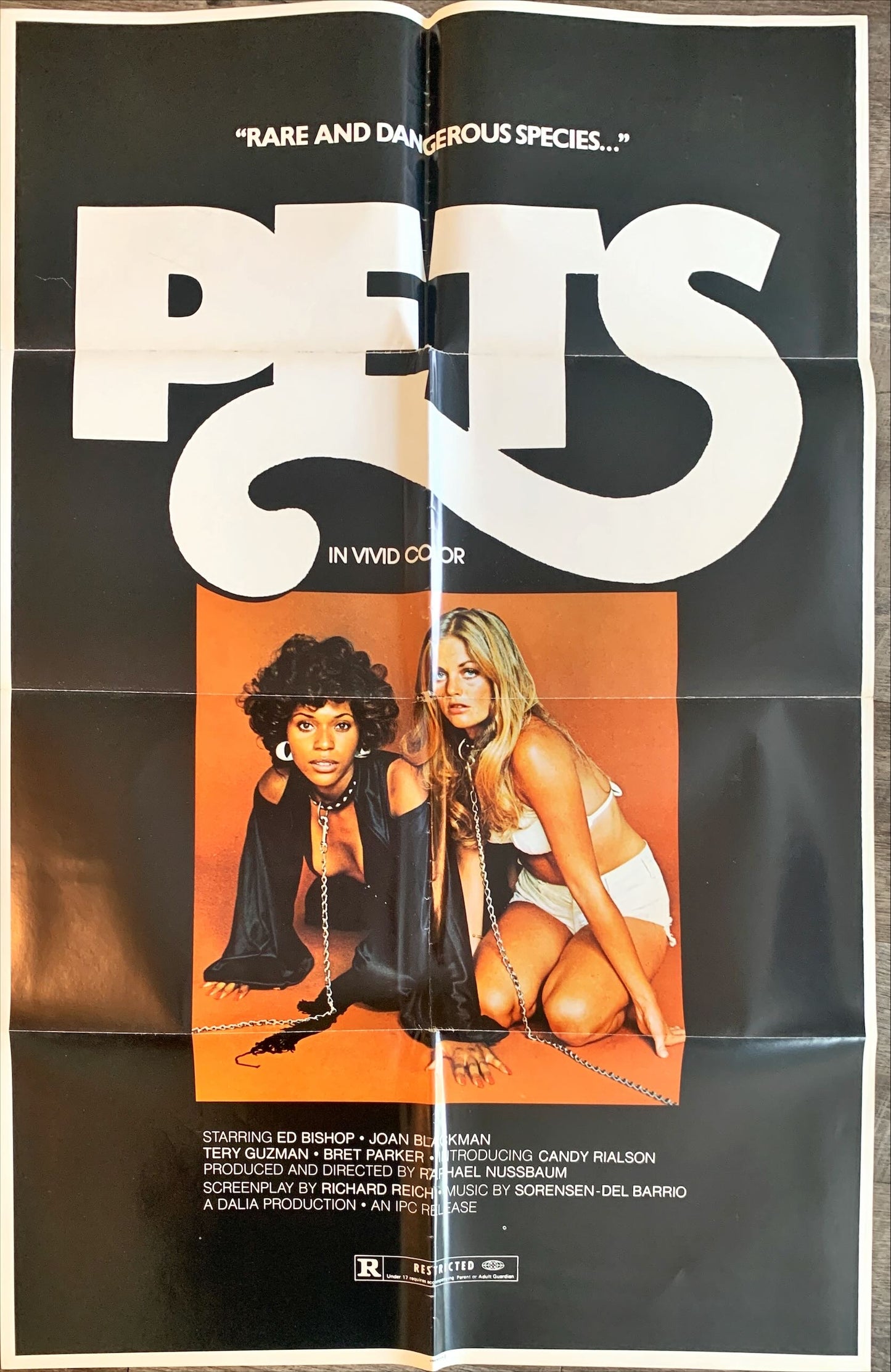 Pets movie poster '74 bizarre bondage image