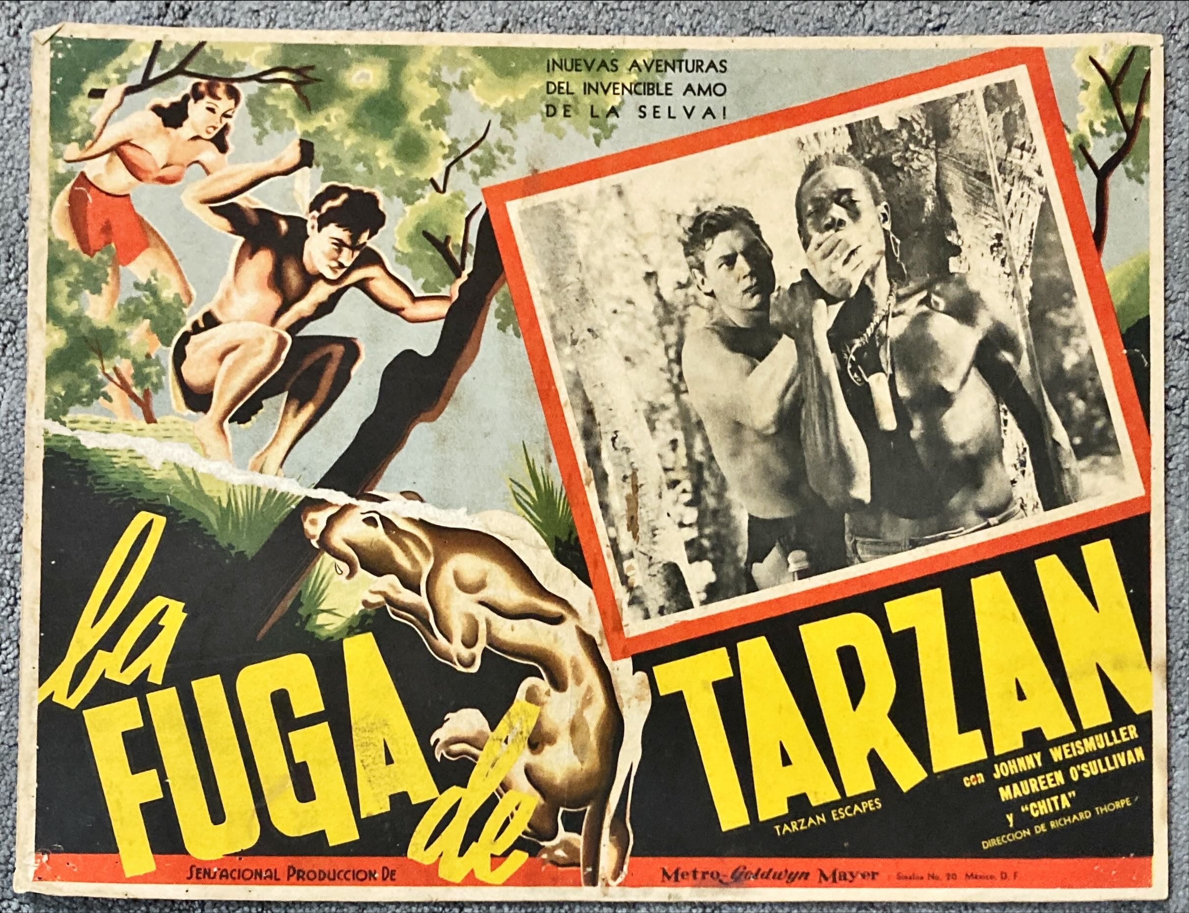 Tarzan Escapes (1950's) Lobby Card - MX