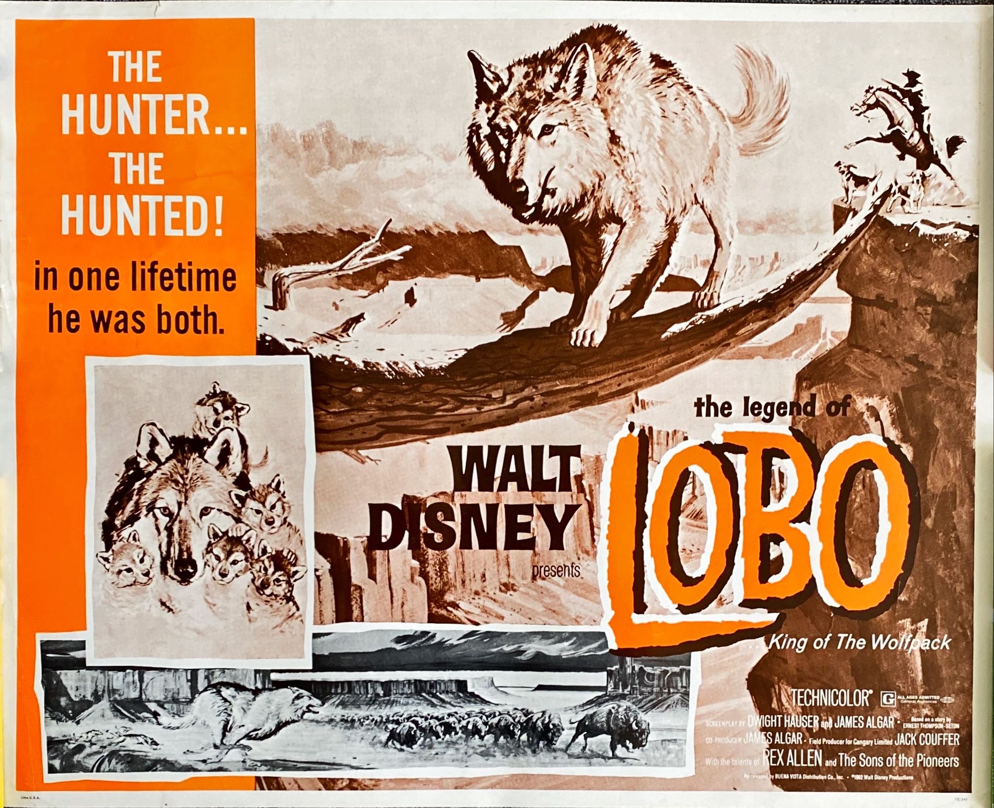 (287) LEGEND OF LOBO 1/2sheet movie poster '63 Walt Disney - PosterCollectors.xyz