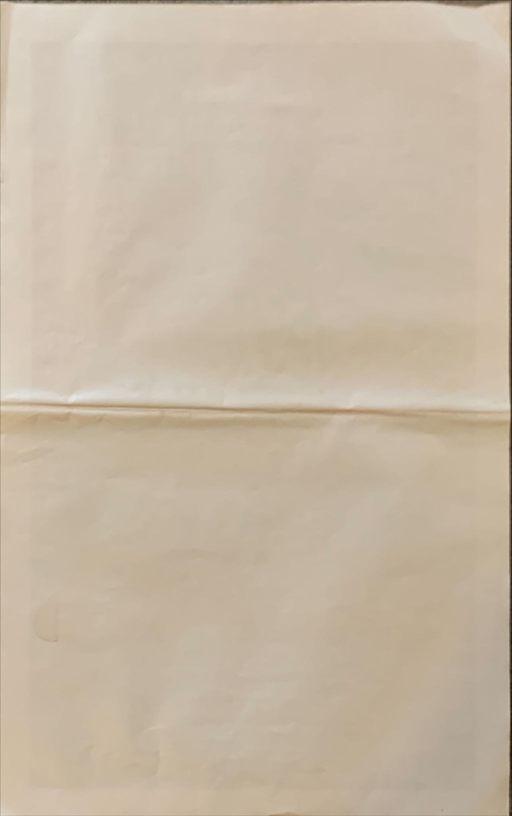 DAWN OF THE DEAD (1978) - SOUTH AMERICA, MINI POSTER