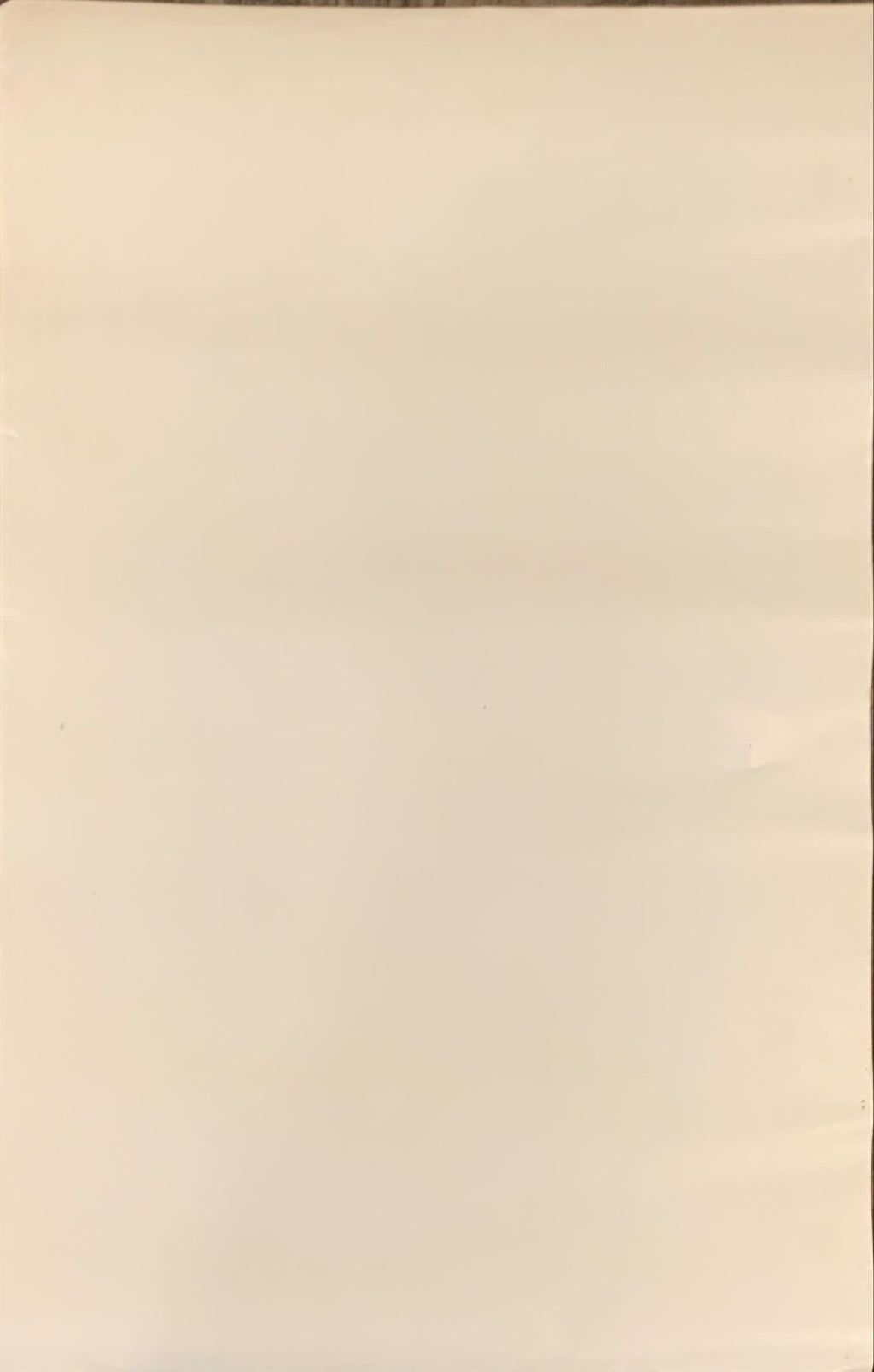 Star Trek 2-sided 22x34 commercial poster 1979 William Shatner & cast