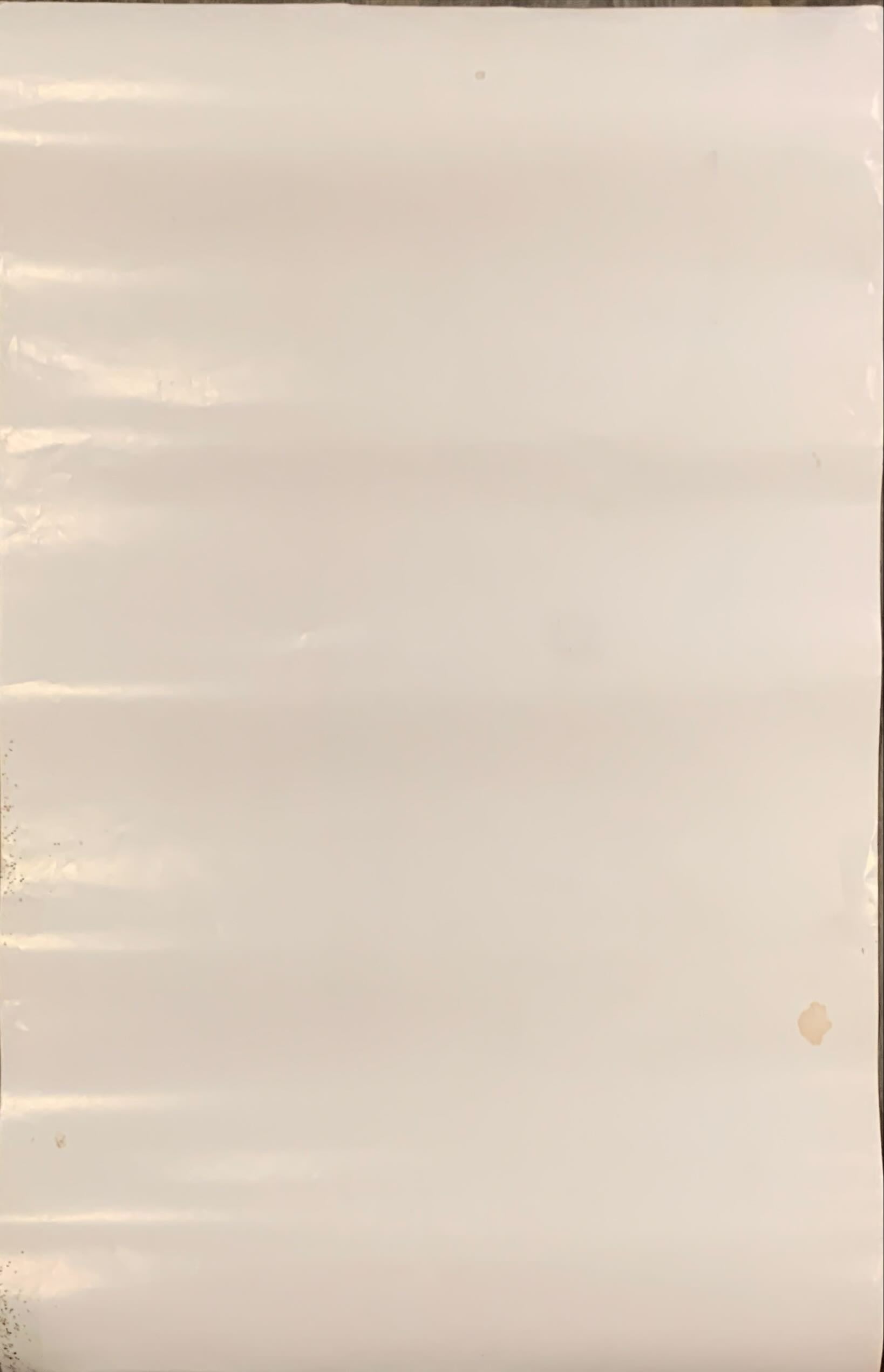 Top Gun 24x36 commercial poster '86 cool portrait image of Tom Cruise as Naval Aviator