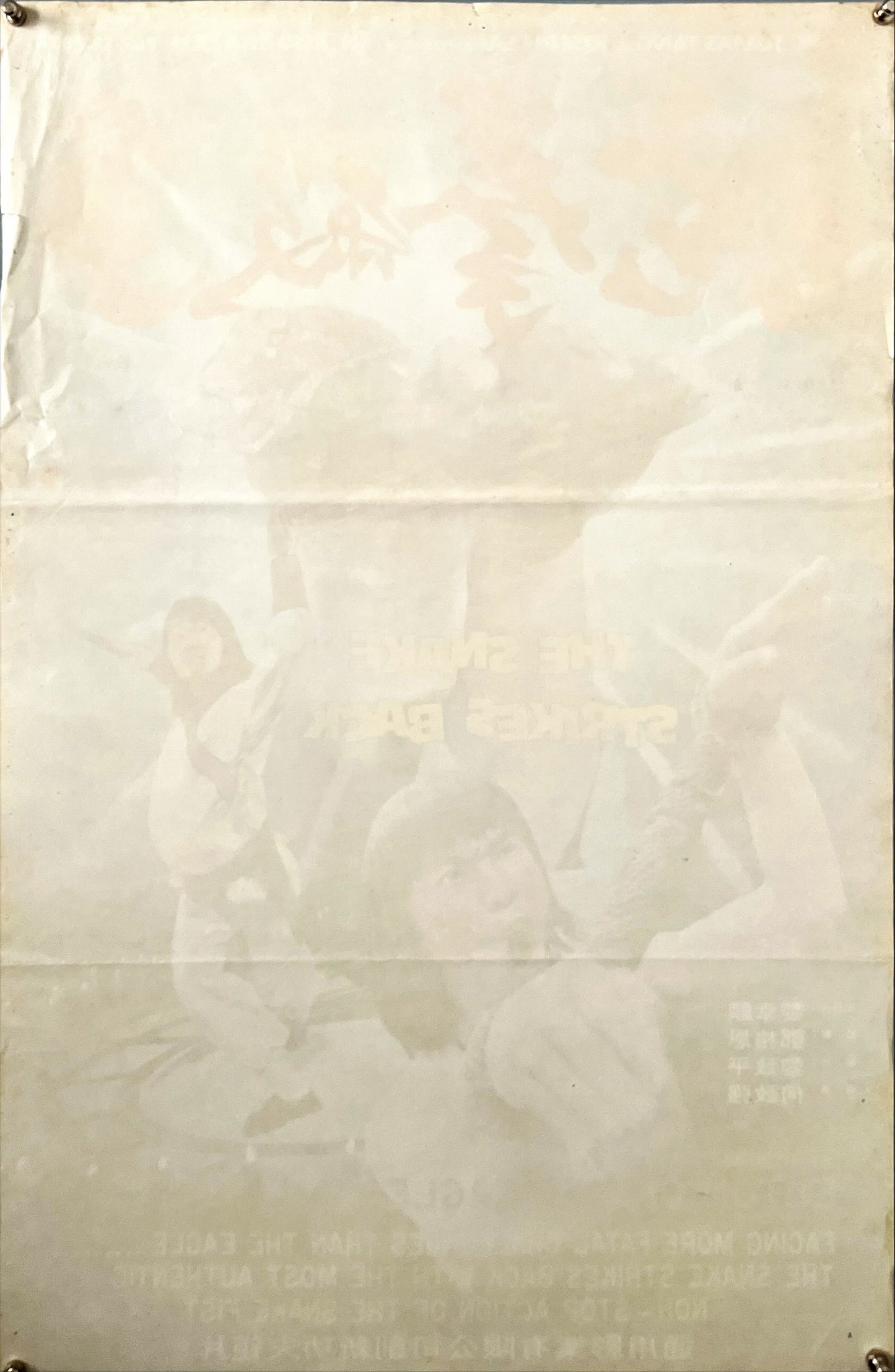 The snake strikes back (1982) Chinese Movie Poster