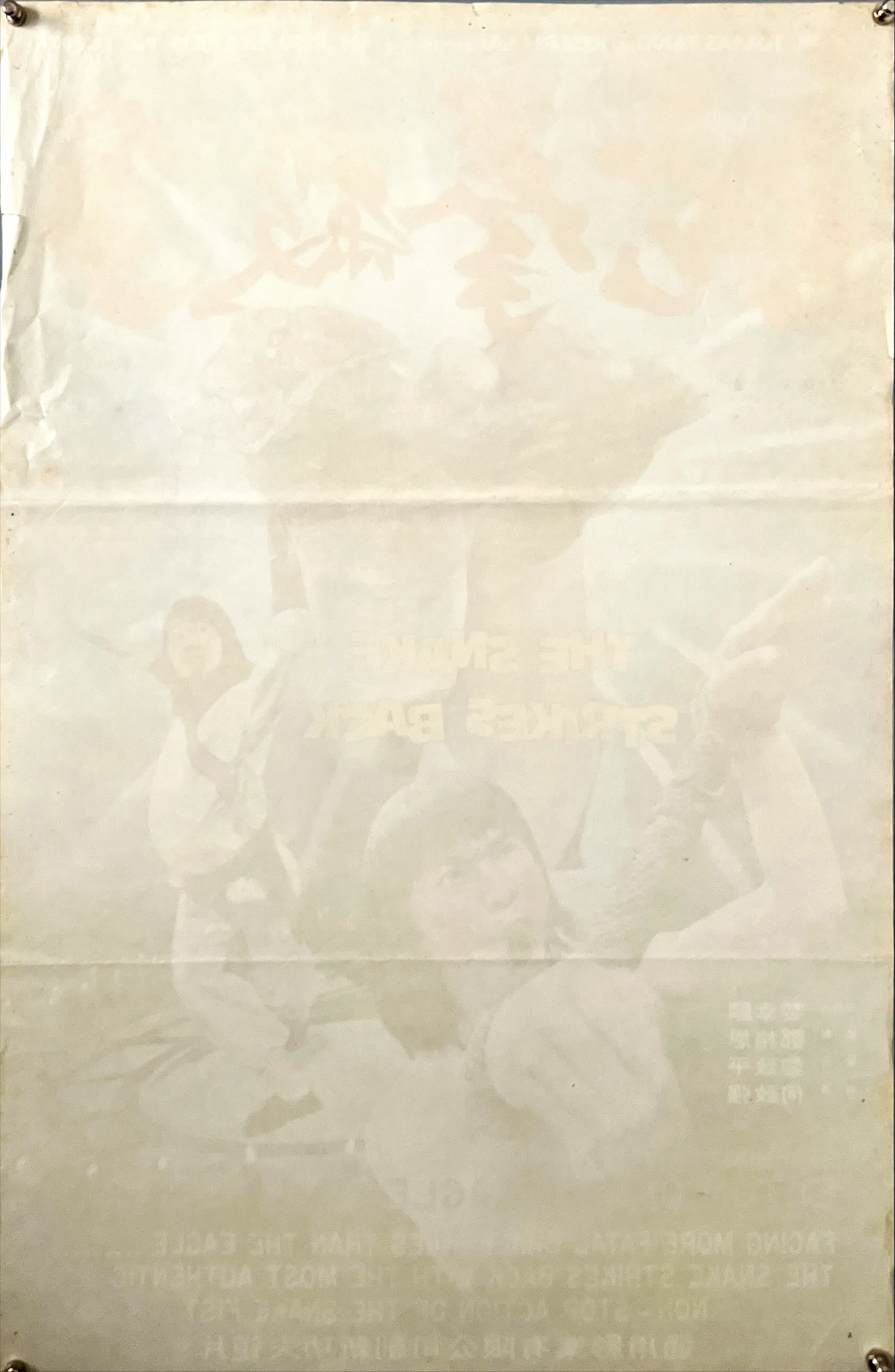 The snake strikes back (1982) Chinese Movie Poster