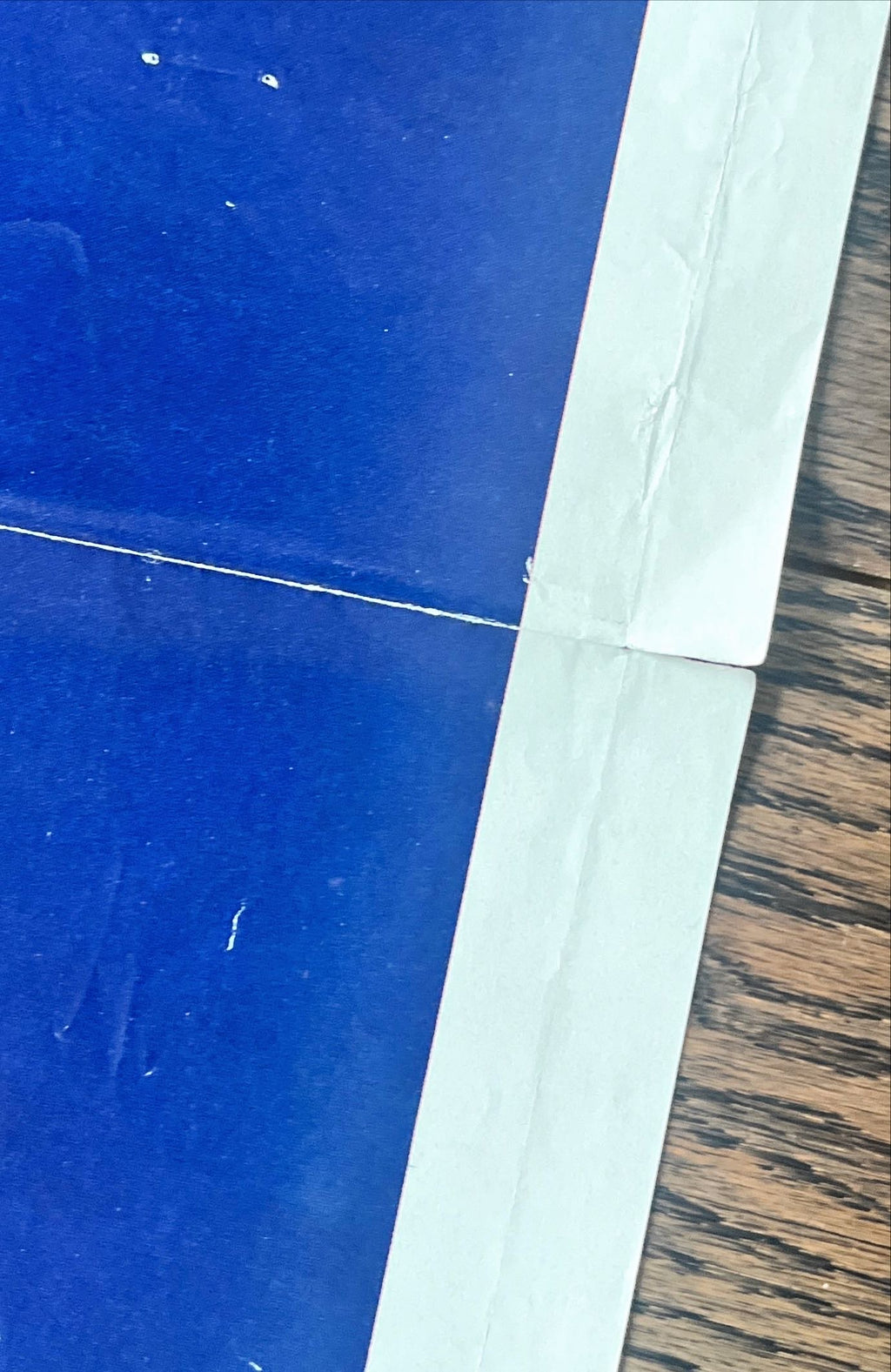 The deep style B studio style 1sh 1977 Gary Meyer art of sexy scuba diver Jacqueline Bisset