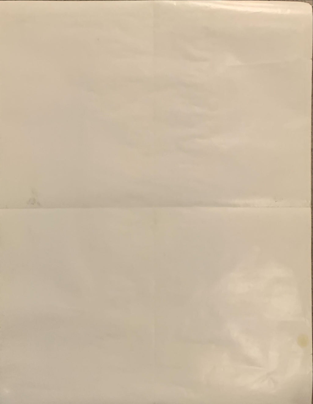 Empire Strikes Back 22x28 special poster 1980 Star Wars, full-length Luke Skywalker