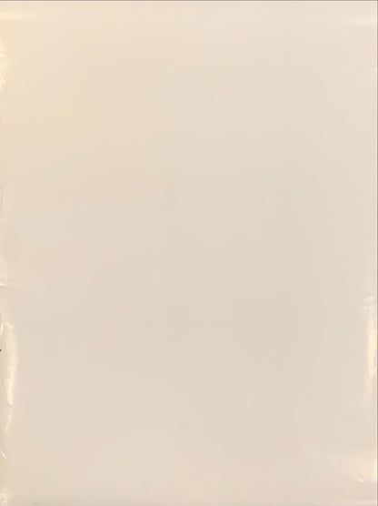 Star Trek III -23inX28.3 Commercial Poster