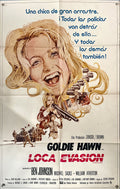 The Sugarland Express (Loca Evasión) – 1974 Original Argentine One-Sheet Movie Poster | Steven Spielberg’s Directorial Debut | Goldie Hawn