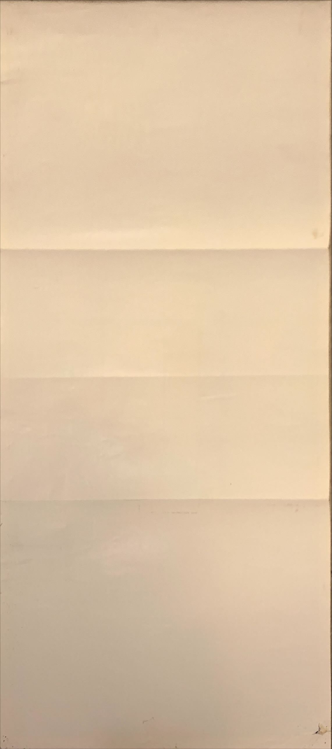 Color Purple, Aust daybill 1985 Steven Spielberg, Whoopi Goldberg, from Alice Walker novel