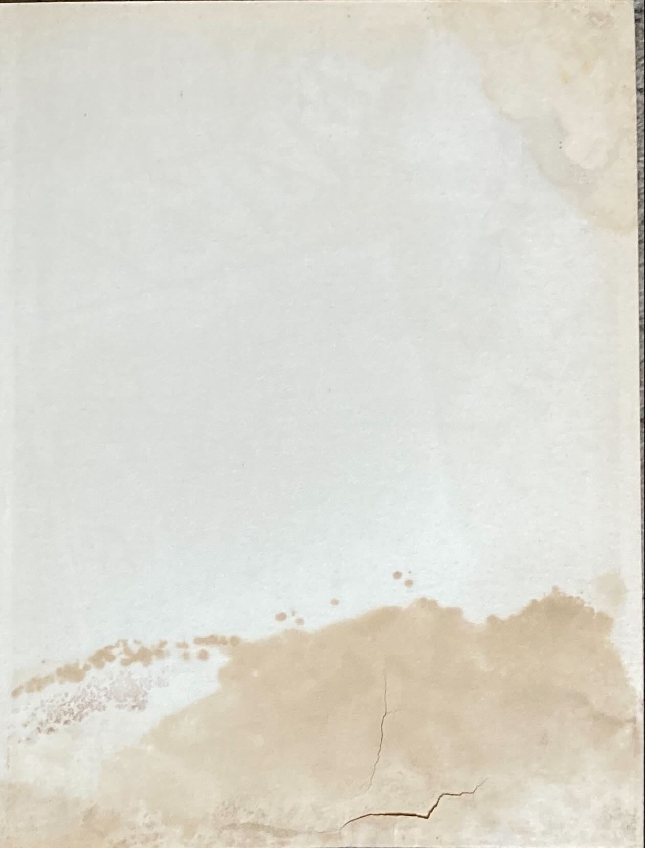 Safari, Janet Leigh Mexican Lobby Card