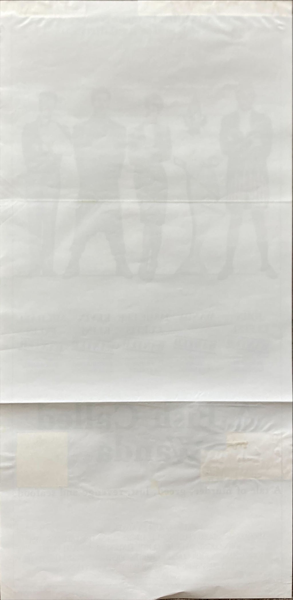 A Fish called Wanda, Aust daybill 1988 John Cleese, Curtis, Kline & Palin in police line up