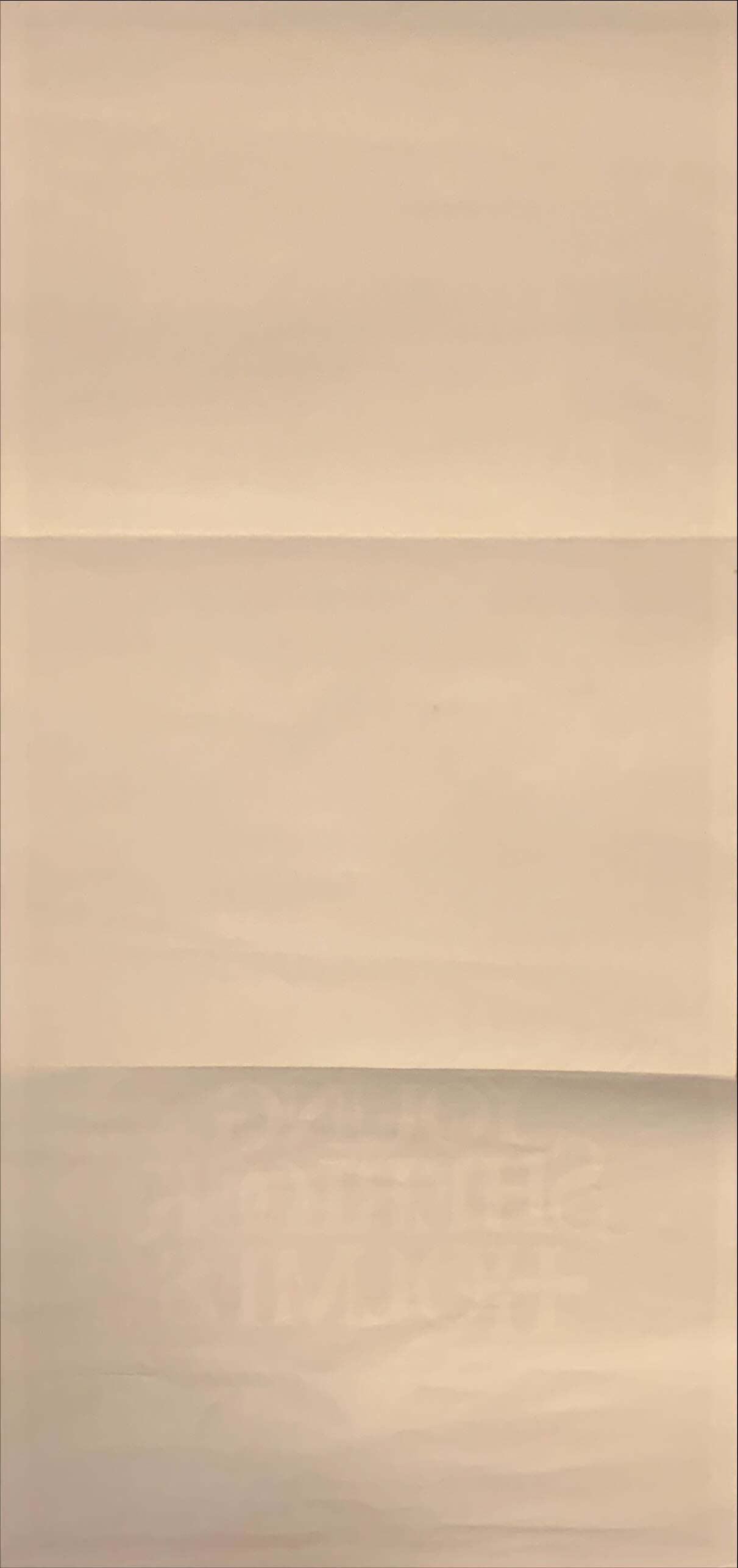 Young Sherlock Holmes, renamed Pyramid of Fear Aust daybill 1985 Steven Spielberg, Nicholas Rowe, cool detective art