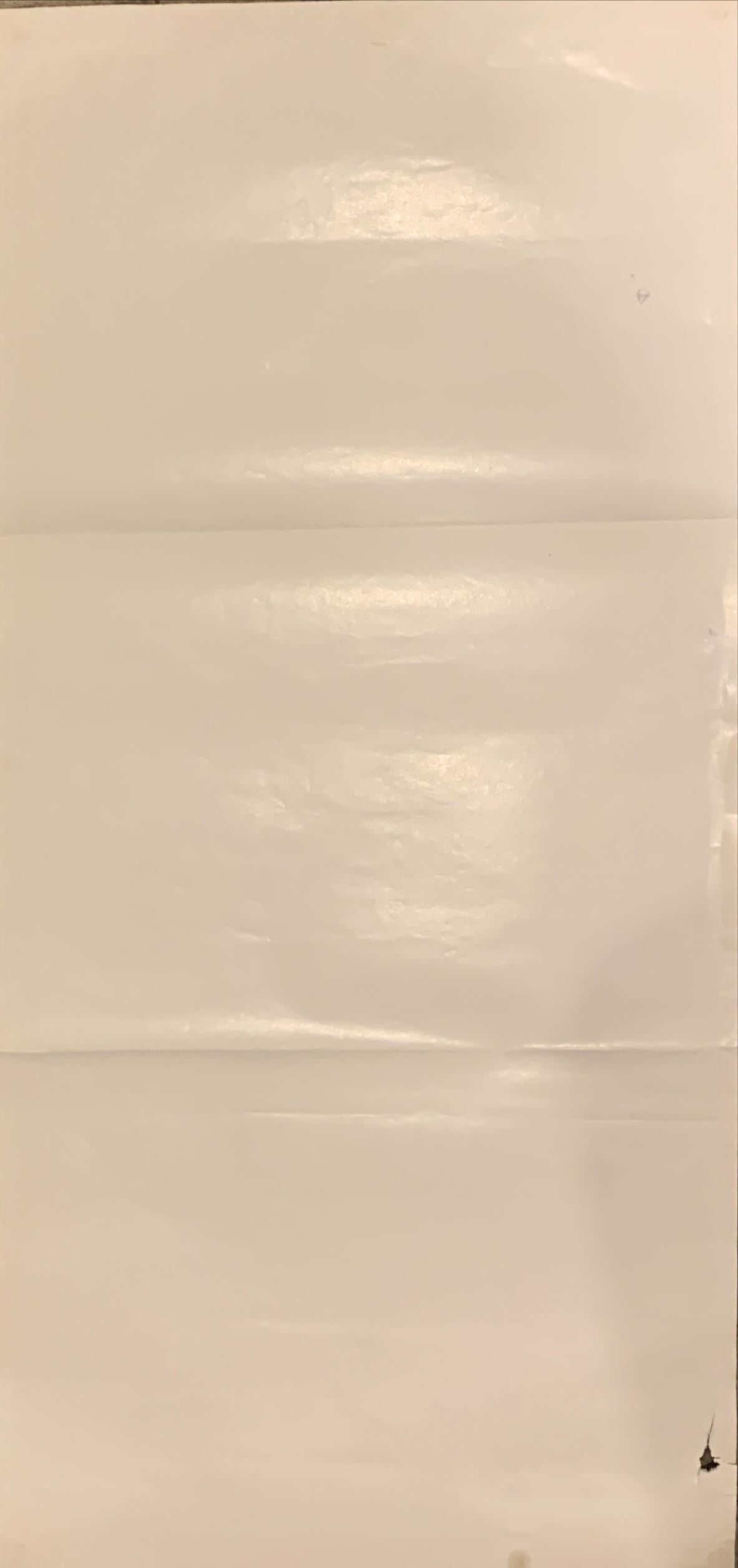 Amadeus,Aust daybill 1985 Milos Foreman, Mozart biography, winner of 8 Academy Awards