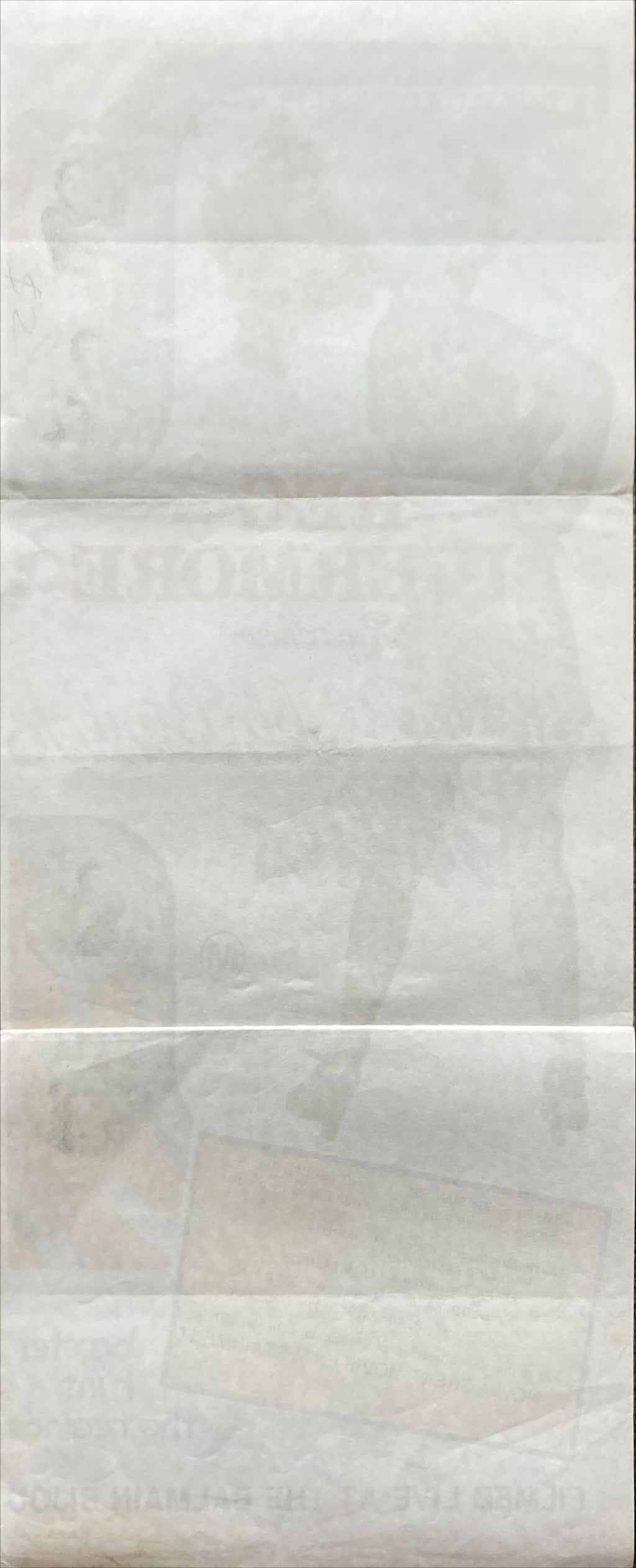 Betty Blokkbuster Follies 1978 Australian Daybill