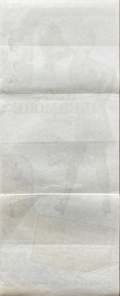 Betty Blokkbuster Follies 1978 Australian Daybill
