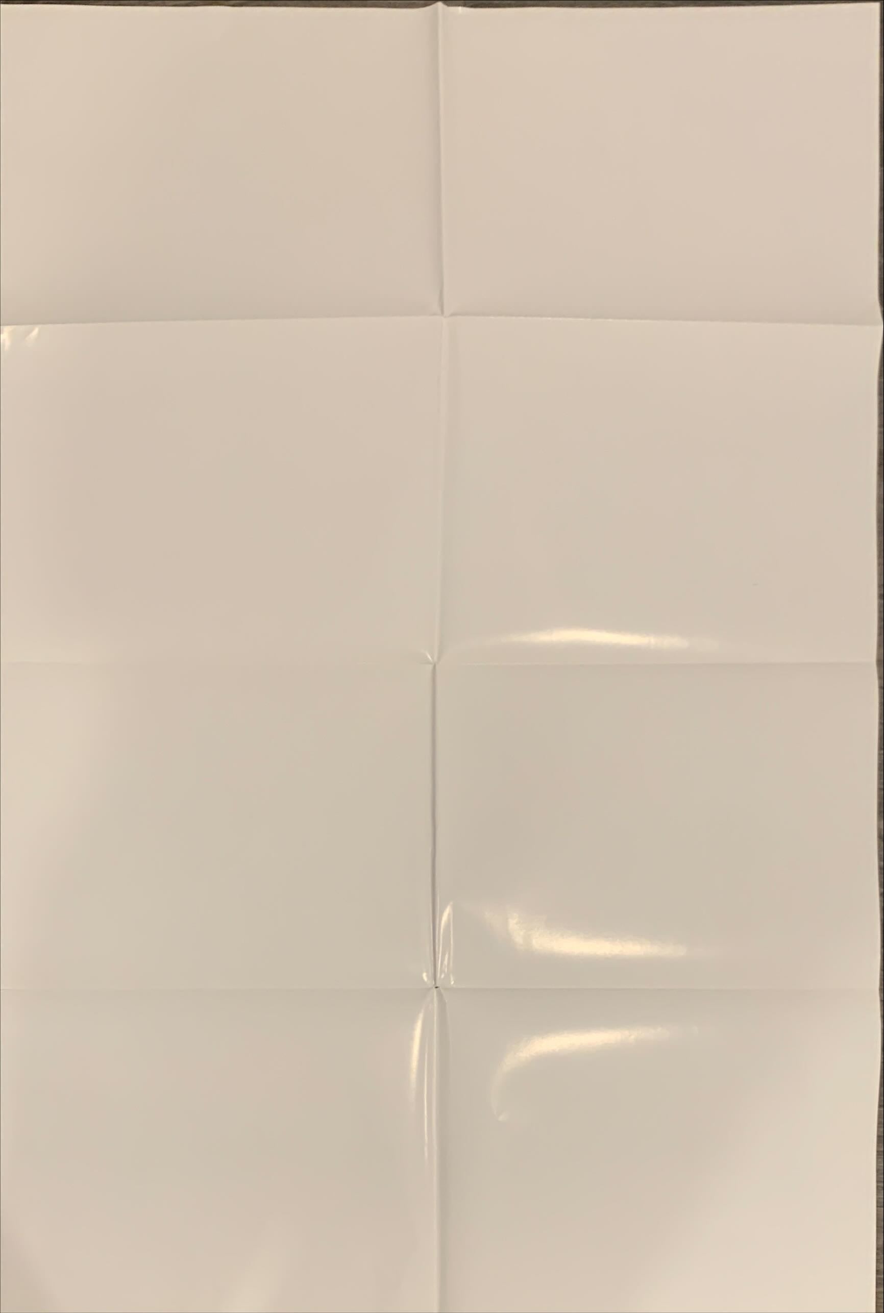 12 Monkeys, DS 1sh 1995 Bruce Willis, Brad Pitt, Stowe, Terry Gilliam directed sci-fi