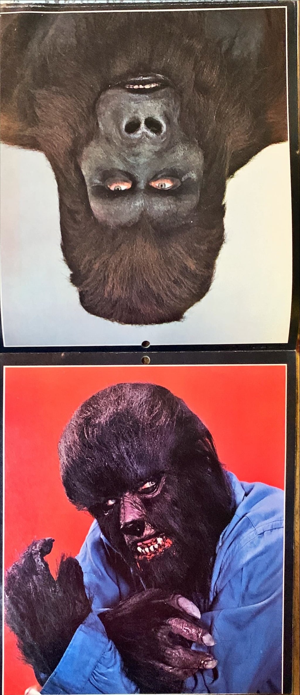 Famous Monsters Magazine Vintage Calendar-Trimmed