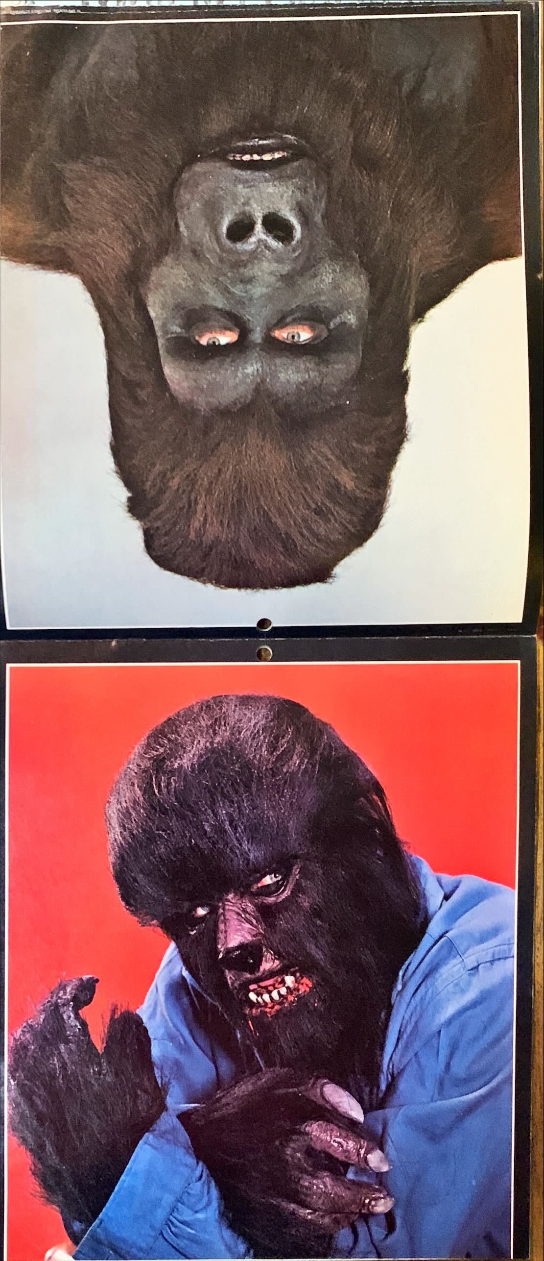 Famous Monsters Magazine Vintage Calendar-Trimmed