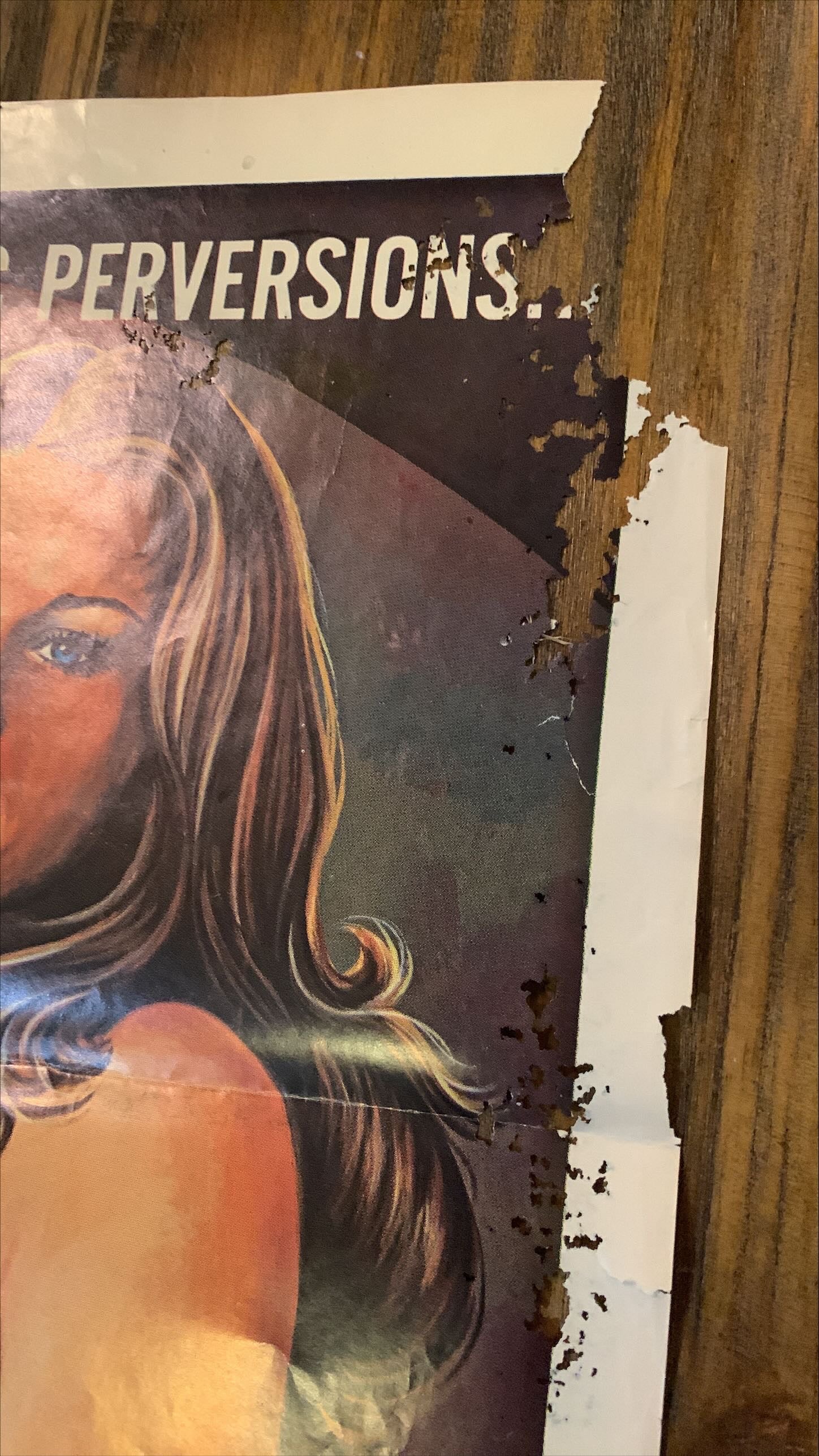 Barbed Wire Dolls (1977) One Sheet Movie Poster - J.Franco