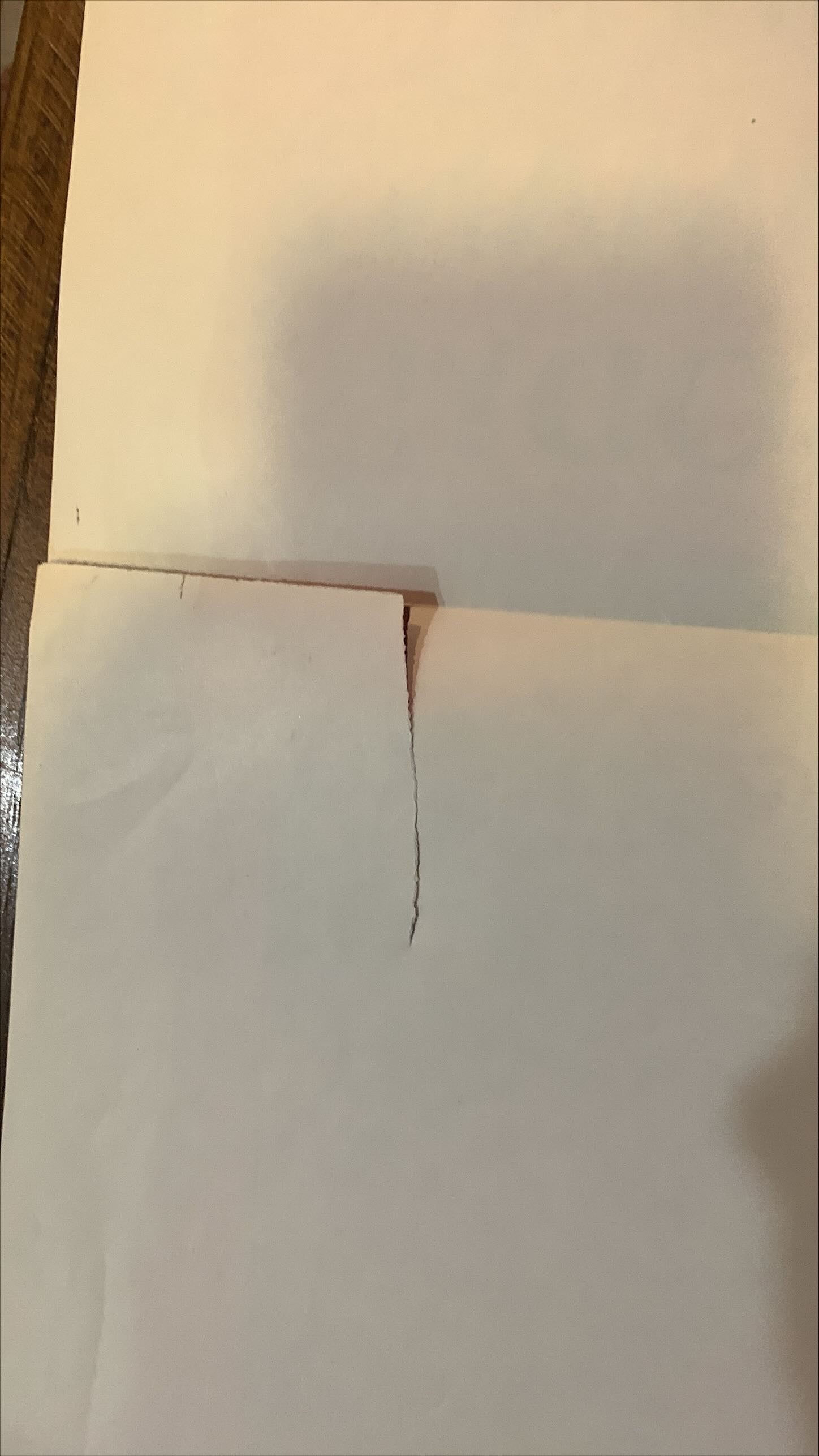 Female Butcher (1974) One Sheet Movie Poster