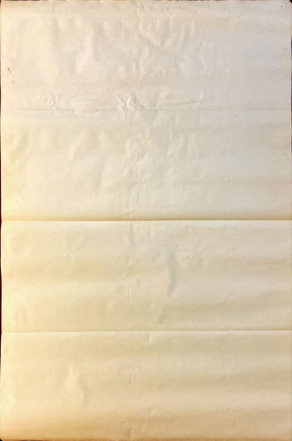 LI -JANIS 1 sheet movie poster 1975 - PosterCollectors.xyz