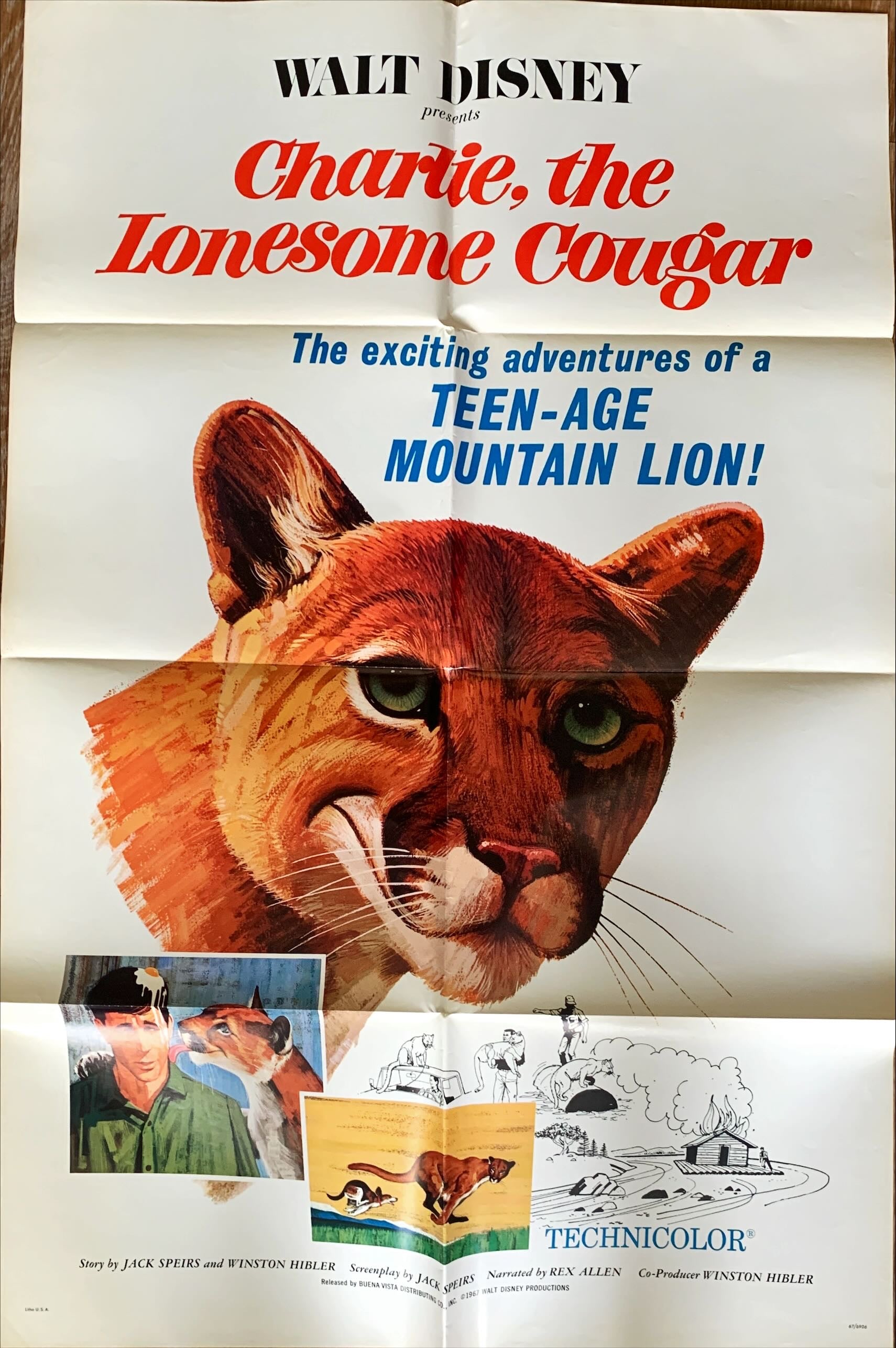 Charlie, the Lonesome Cougar,  1sh 1967 Walt Disney