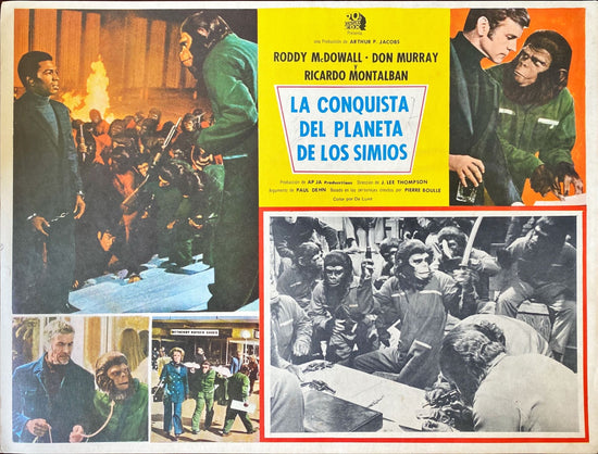 Conquest of the Planet of the Apes (1972) 6x Lobby Cards - MX