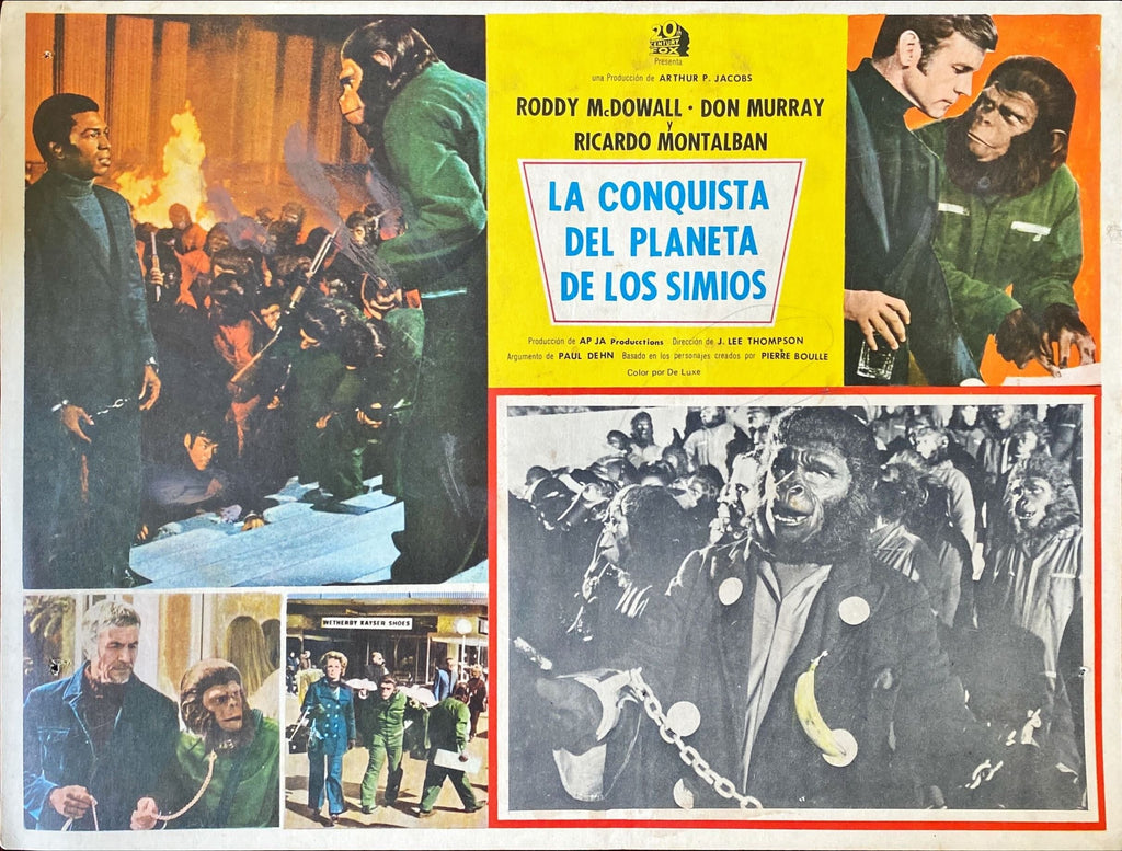 Conquest of the Planet of the Apes (1972) 6x Lobby Cards - MX