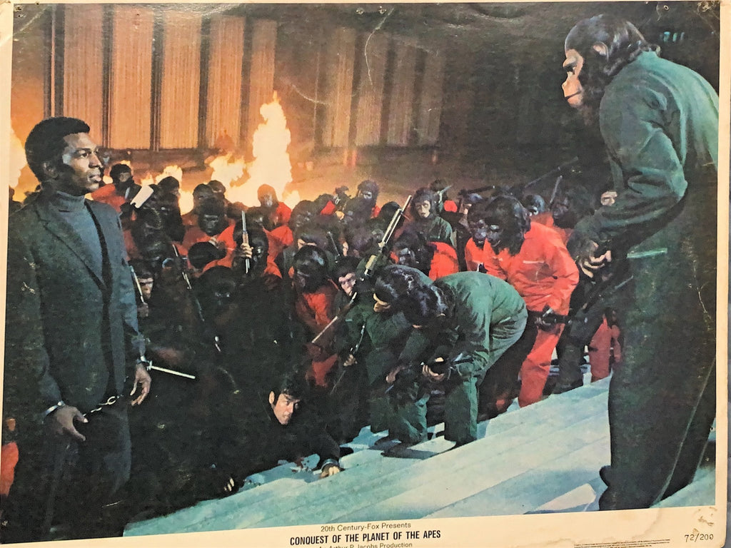 #846 CONQUEST OF THE PLANET OF THE APES 7 Lobby Cards 1972 - PosterCollectors.xyz
