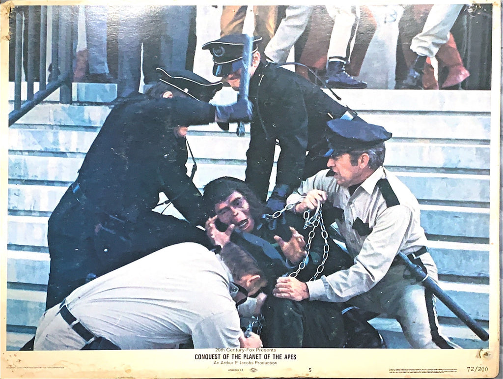 #846 CONQUEST OF THE PLANET OF THE APES 7 Lobby Cards 1972 - PosterCollectors.xyz