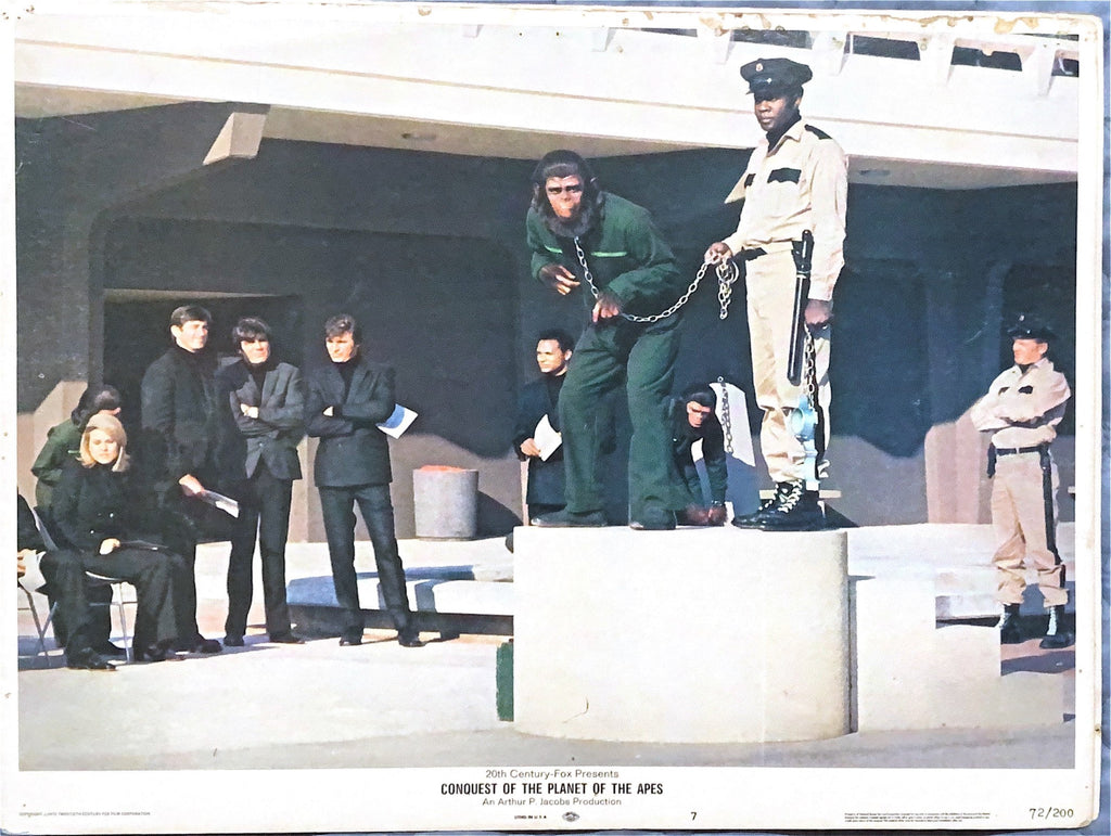 #846 CONQUEST OF THE PLANET OF THE APES 7 Lobby Cards 1972 - PosterCollectors.xyz