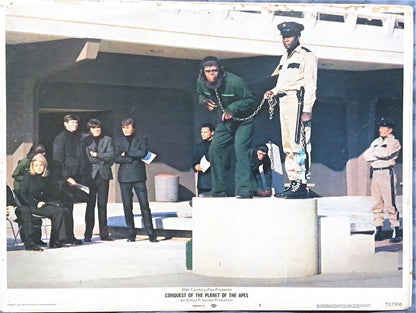 #846 CONQUEST OF THE PLANET OF THE APES 7 Lobby Cards 1972 - PosterCollectors.xyz
