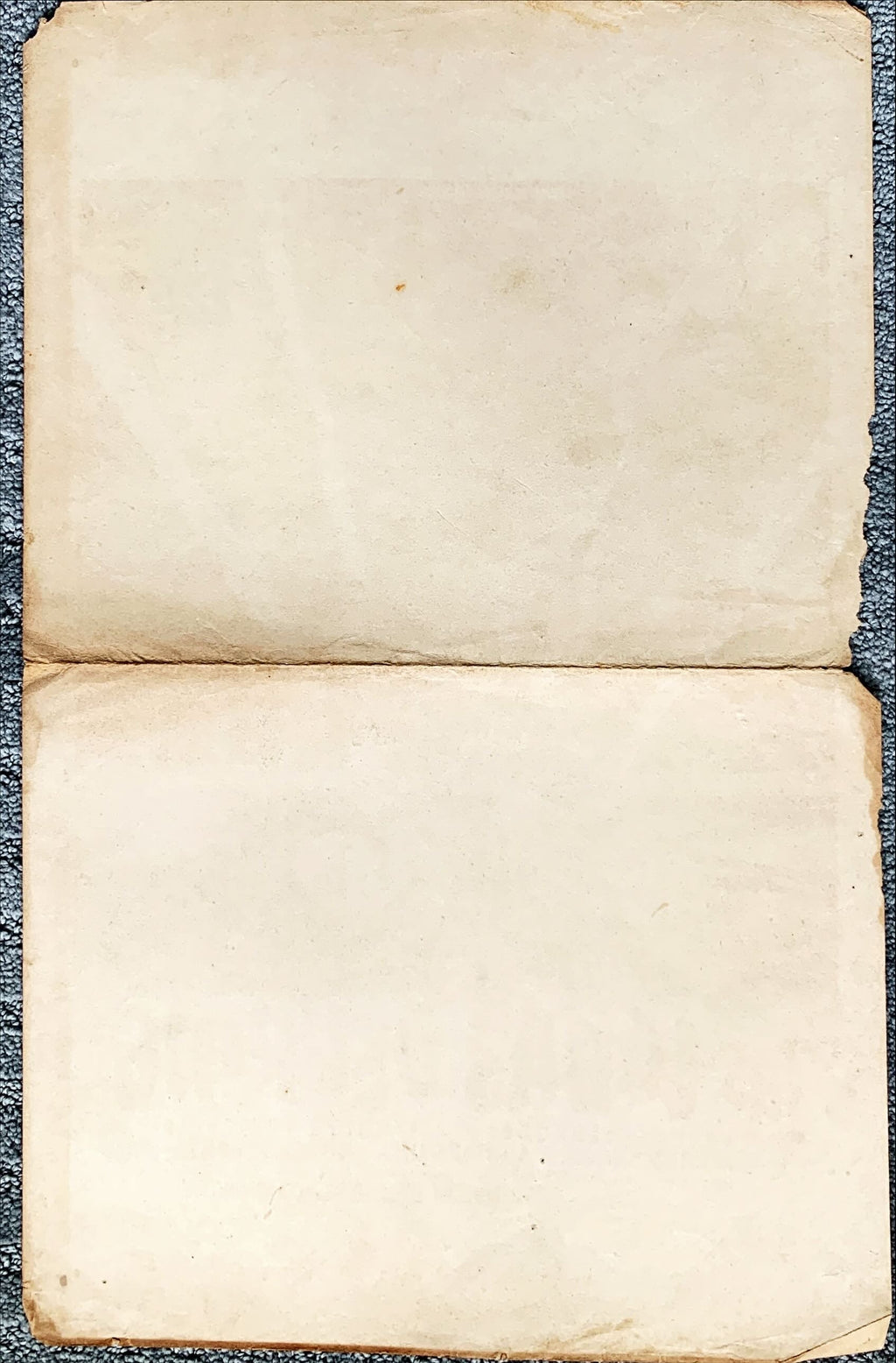 Las lobas del ring, Mexican window card