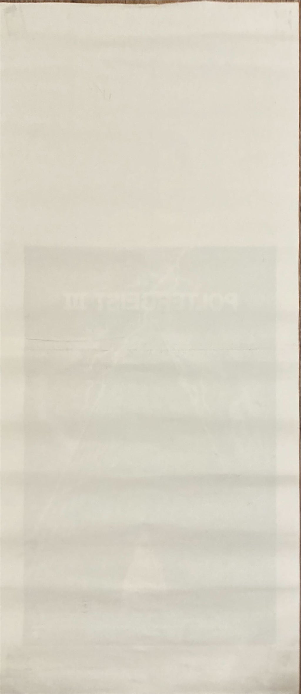 Poltergeist III (1988) Original Locandina Movie Poster - ITA