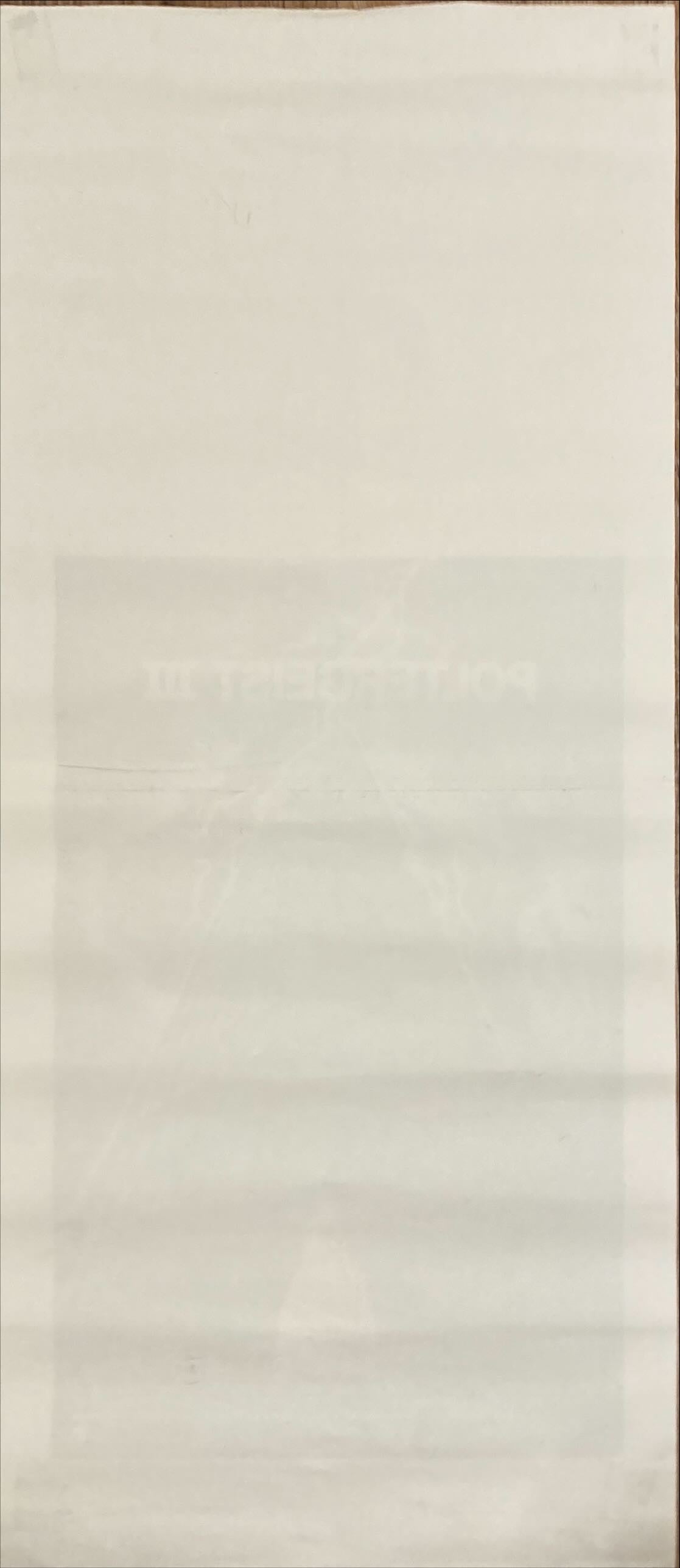 Poltergeist III (1988) Original Locandina Movie Poster - ITA