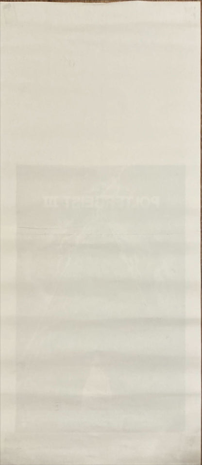 Poltergeist III (1988) Original Locandina Movie Poster - ITA