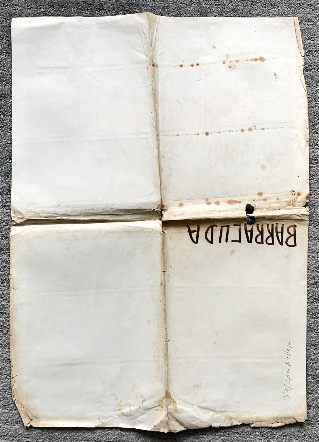 Barracuda Mexican movie poster