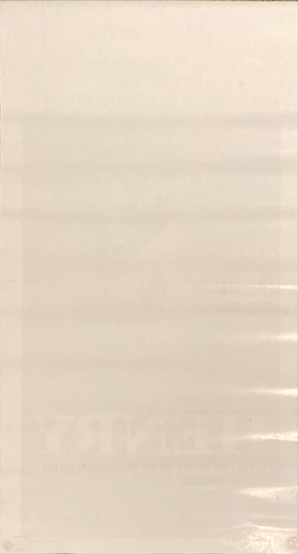 Henry, portrait of a Serial Killer (1992) Locandina Movie poster ITAL