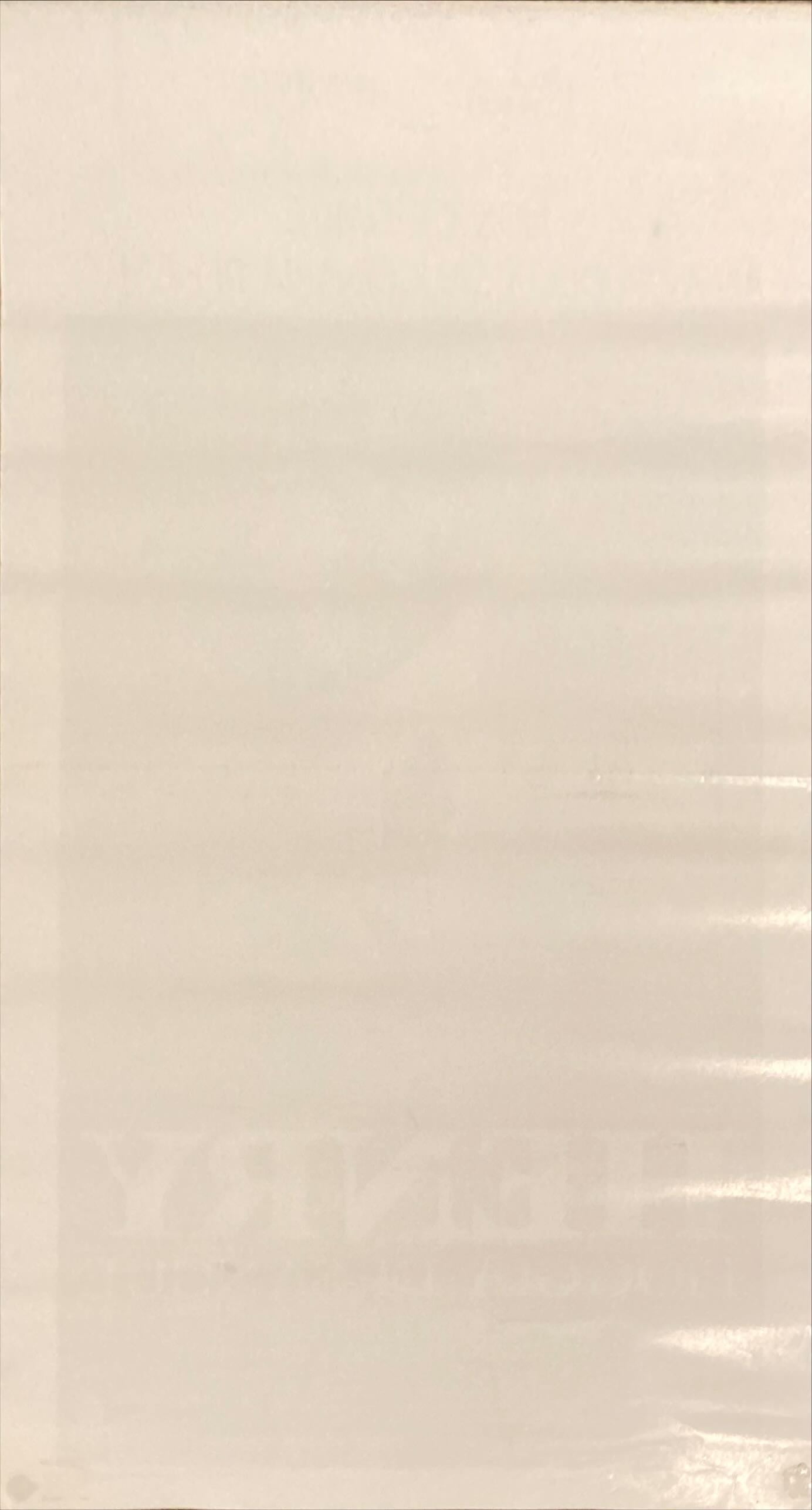 Henry, portrait of a Serial Killer (1992) Locandina Movie poster ITAL