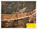 Indiana Jones and the Temple of Doom (1984) 7x Lobby Cards - MX