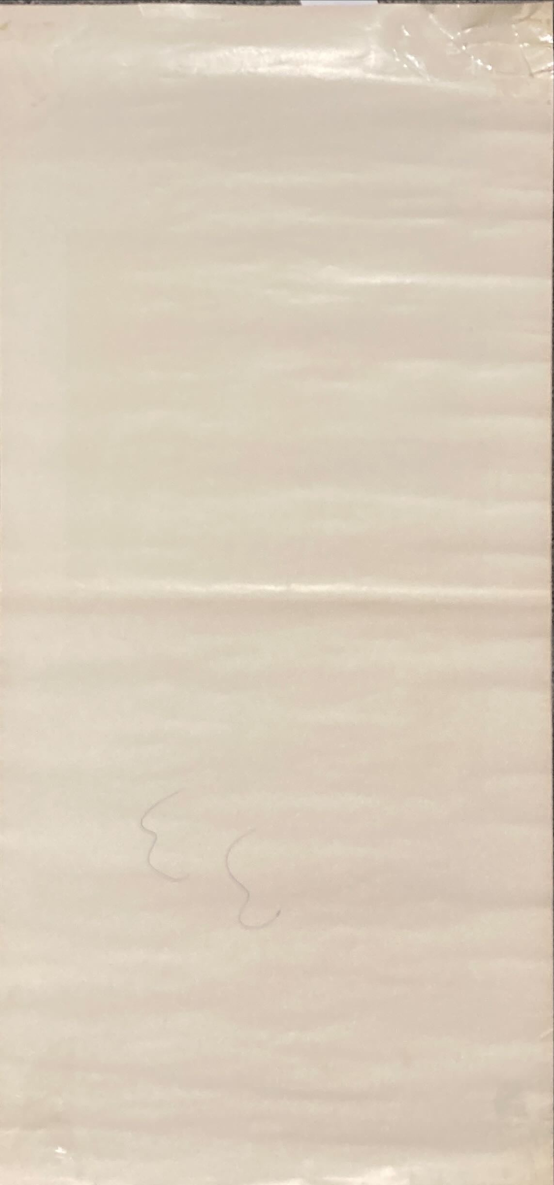 Circus of Horrors (R'68) Original Locandina Movie Poster