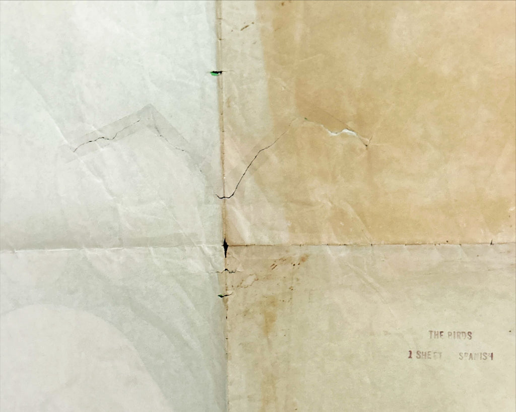 The Birds (1963) One Sheet Movie Poster - DayGlo, Hitchcock