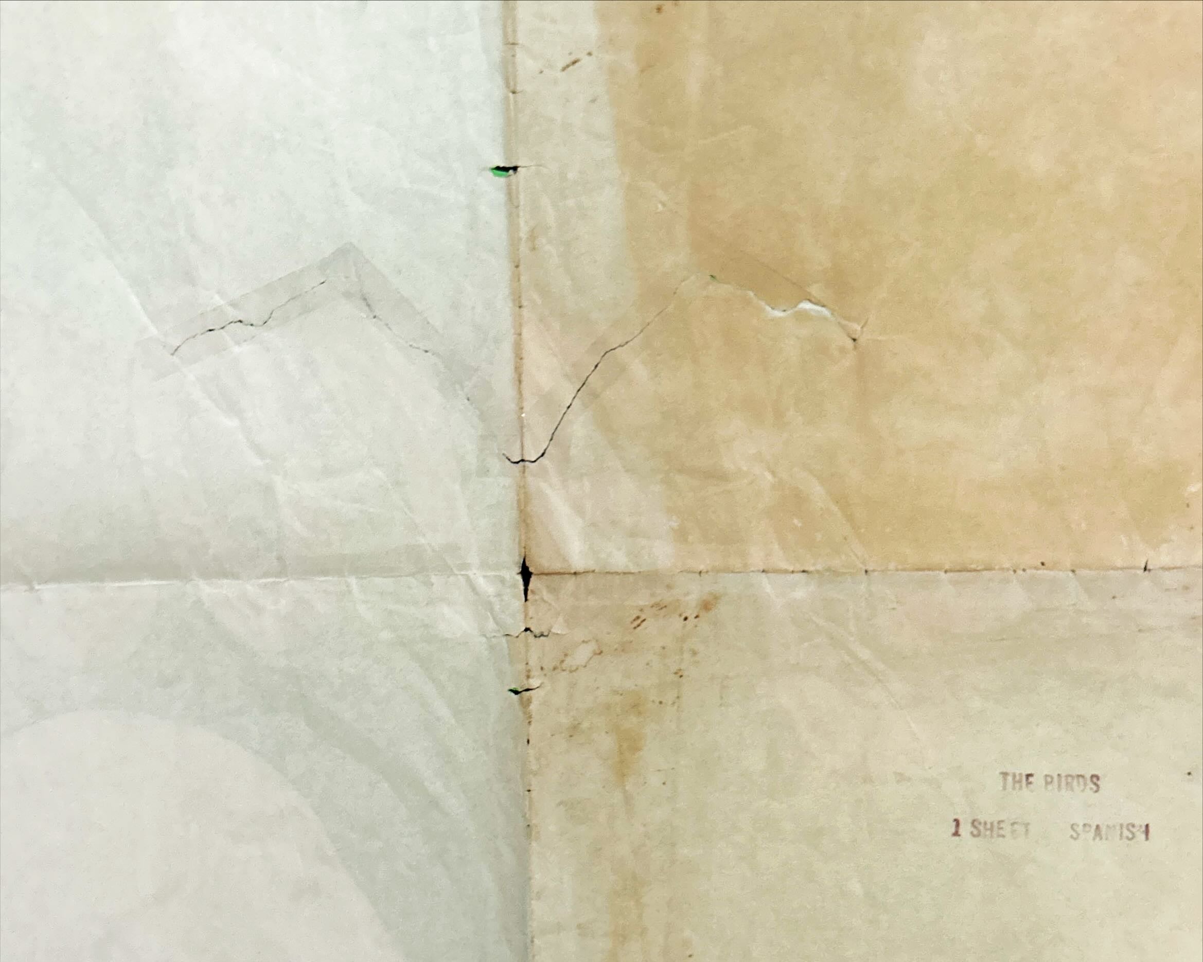 The Birds (1963) One Sheet Movie Poster - DayGlo, Hitchcock