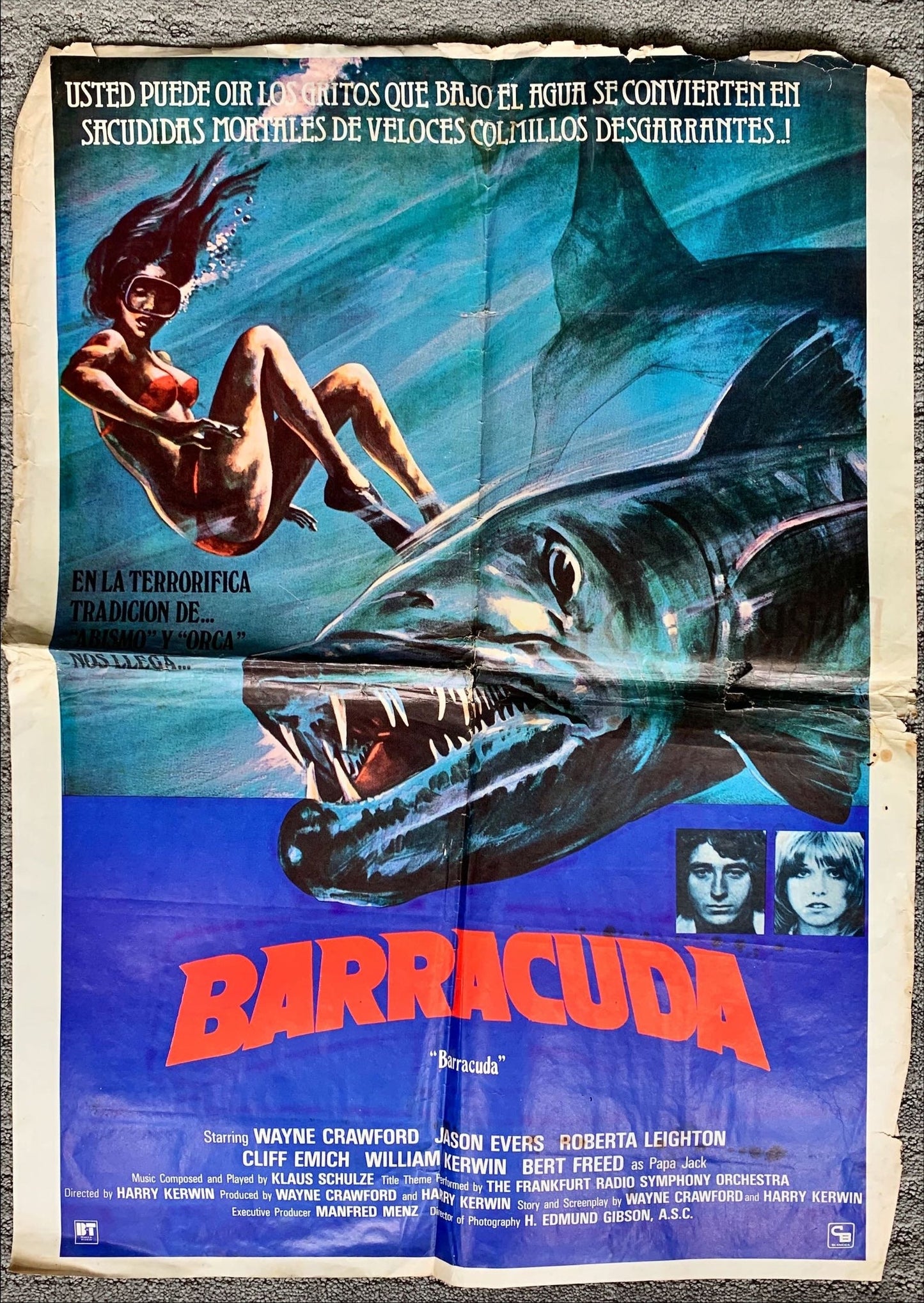 Disaster Movies/Monsters Original Posters and Lobby Cards bundle