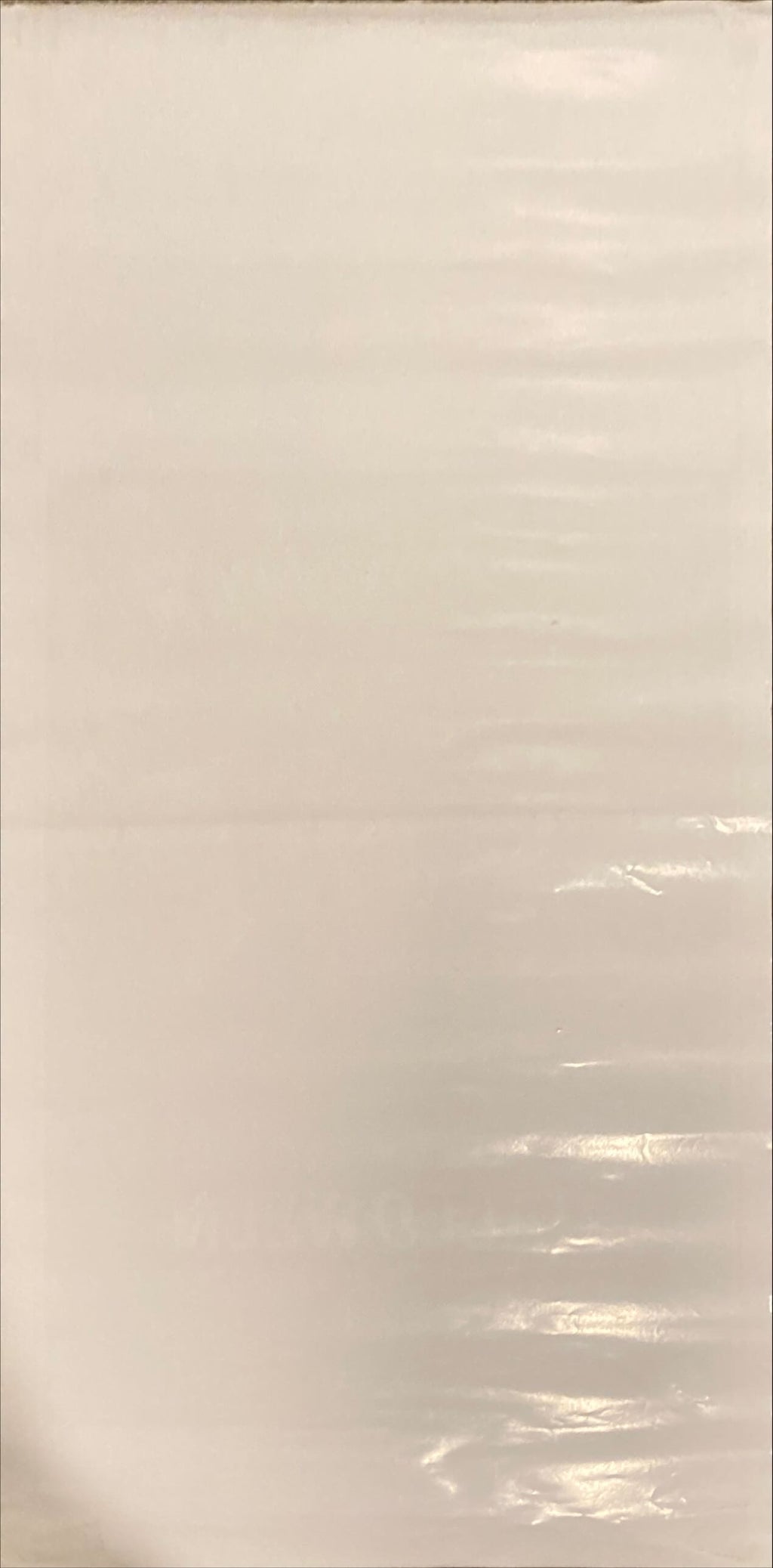 Halloween H2O (1998) Original Locandina Movie Poster - ITA