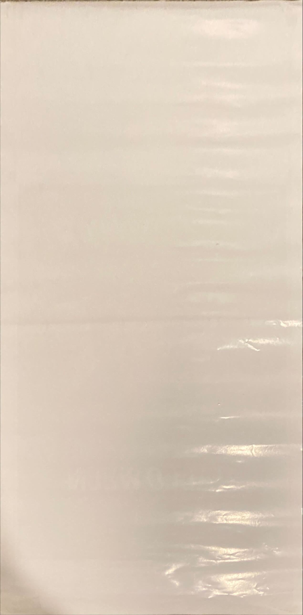 Halloween H2O (1998) Original Locandina Movie Poster - ITA