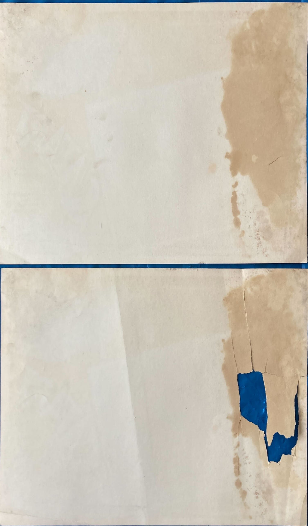 Safari (1956) Vintage Mexican Lobby Cards X2 - Victor Mature, Janet Leigh